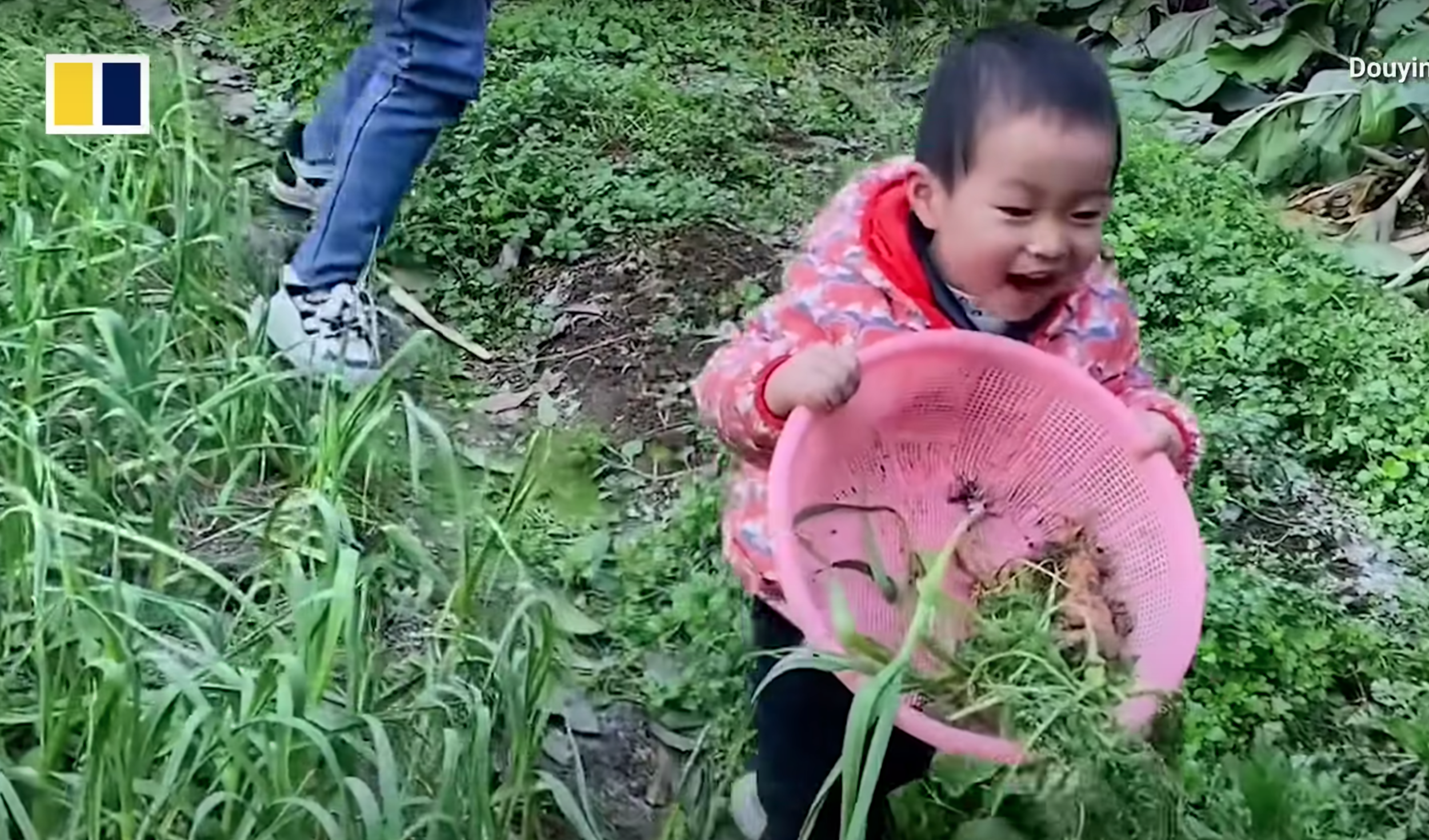 Pomelo aide sa mère à choisir les légumes. | Source : Youtube.com/South China Morning Post