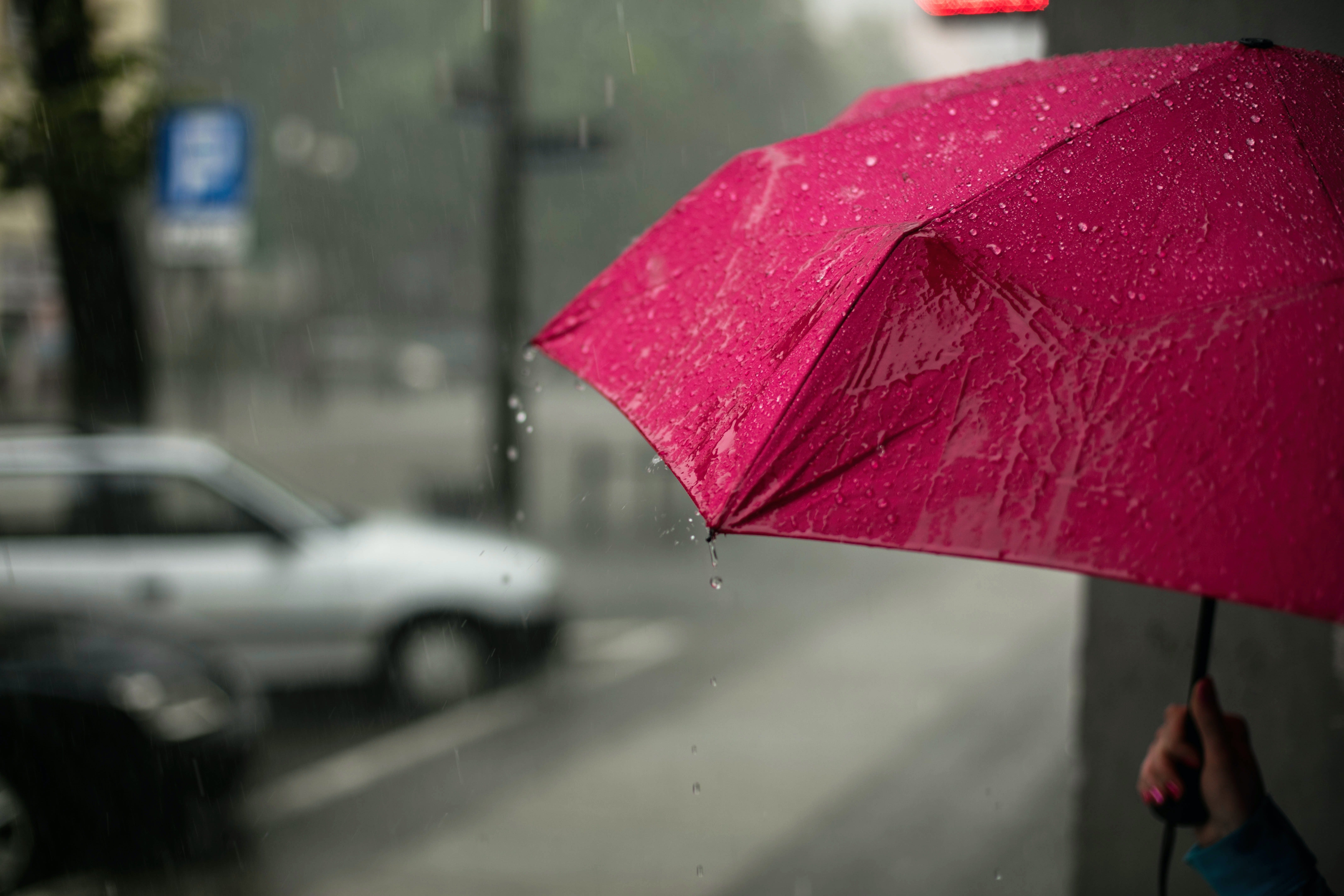 Un parapluie rose | Source: Unsplash