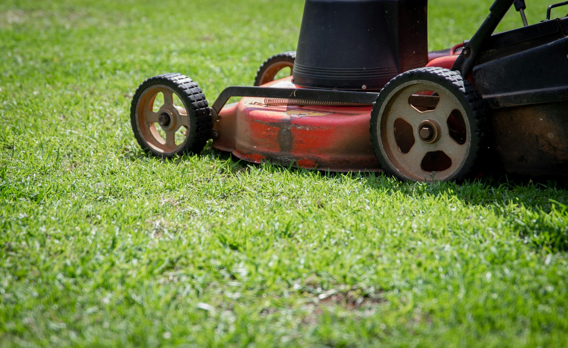 Gros plan sur une tondeuse à gazon | Source : Pexels