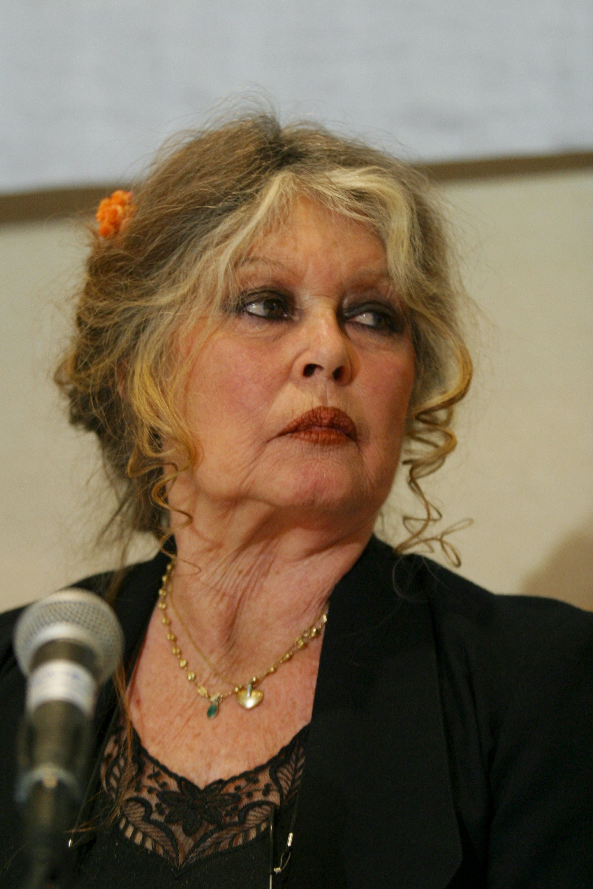 Brigitte Bardot lors d'une conférence de presse pour protester contre la chasse aux phoques au Canada, à Ottawa le 22 mars 2006. | Source : Getty Images