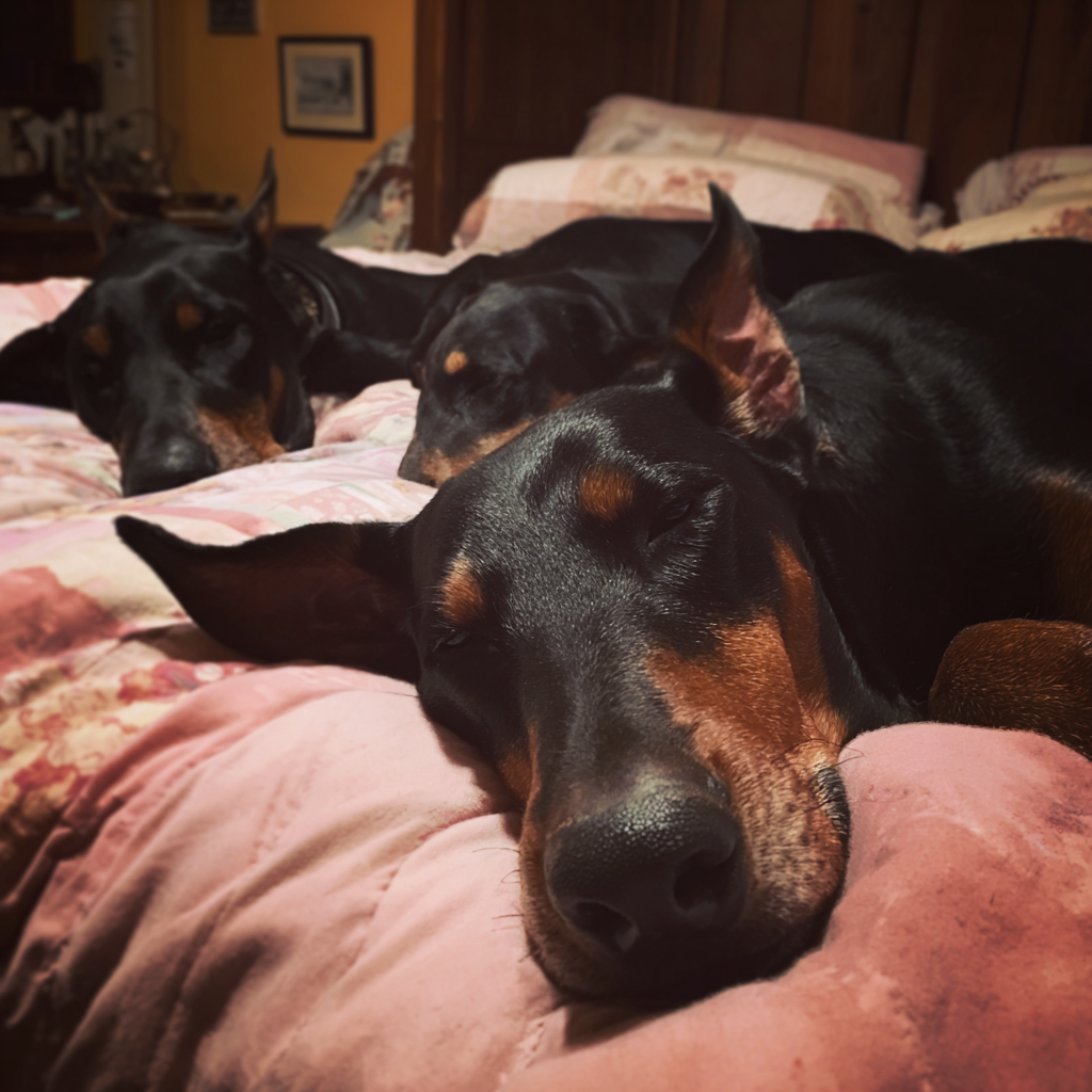 Trois chiens dormant sur un lit | Source : Midjourney