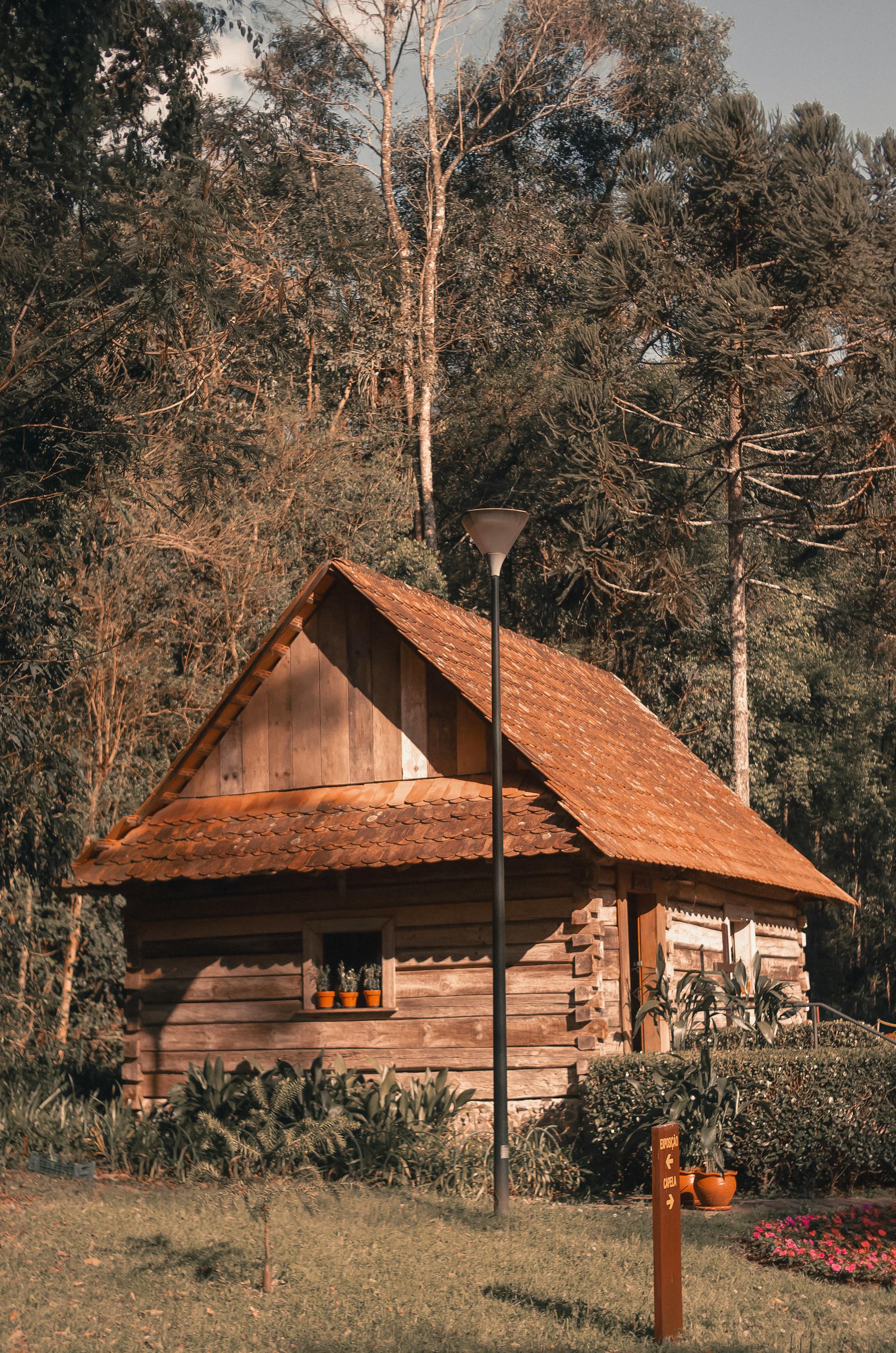 Une cabane à côté d'arbres dans un cadre forestier | Source : Pexels