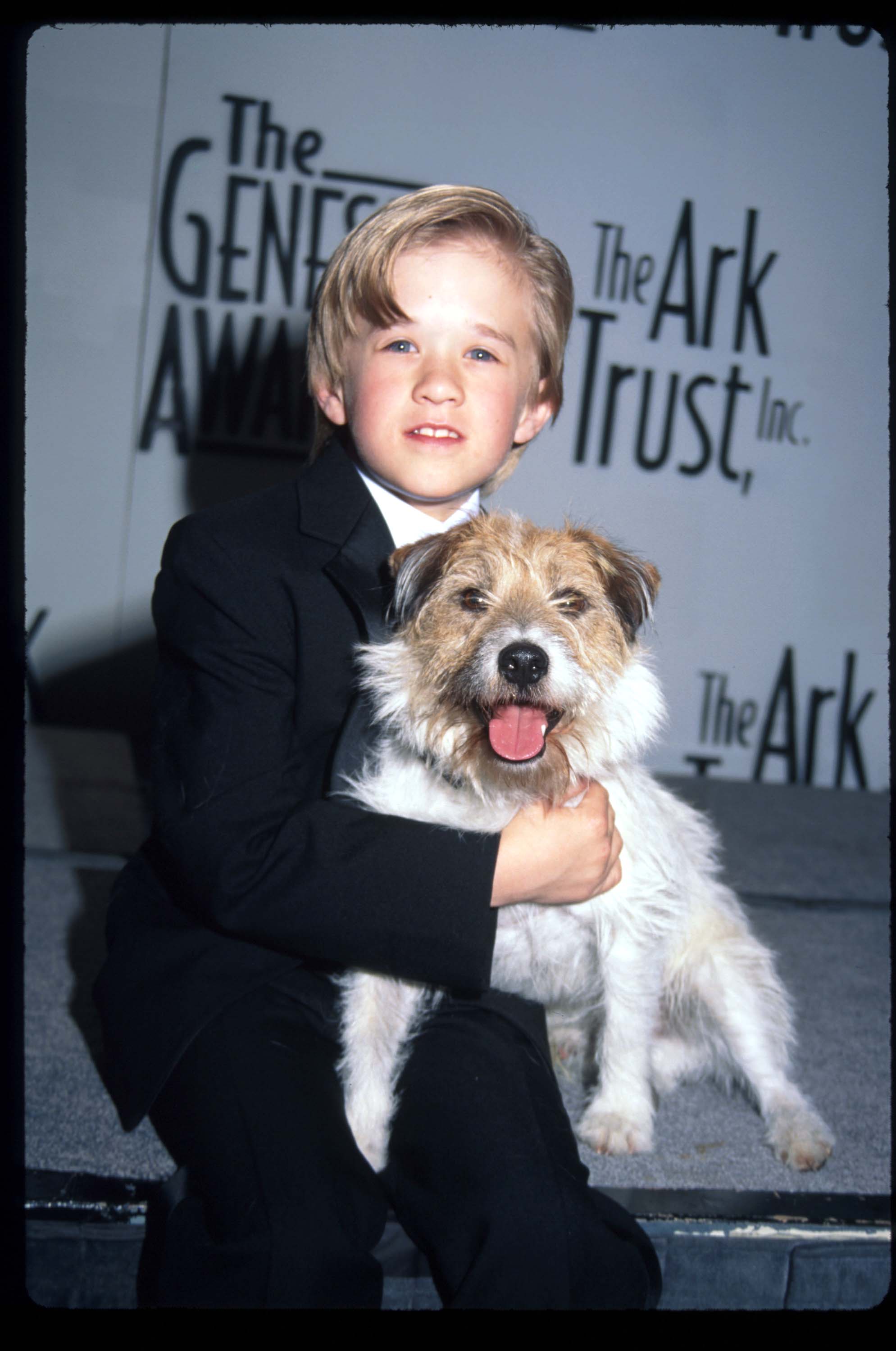 Haley Osment tient le chien Sparky lors de la remise des prix Genesis le 5 avril 1997 à Los Angeles, en Californie. | Source : Getty Images