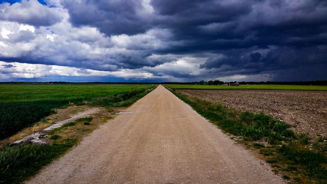 They were on a the road in the middle of nowhere. | Source: Pexels