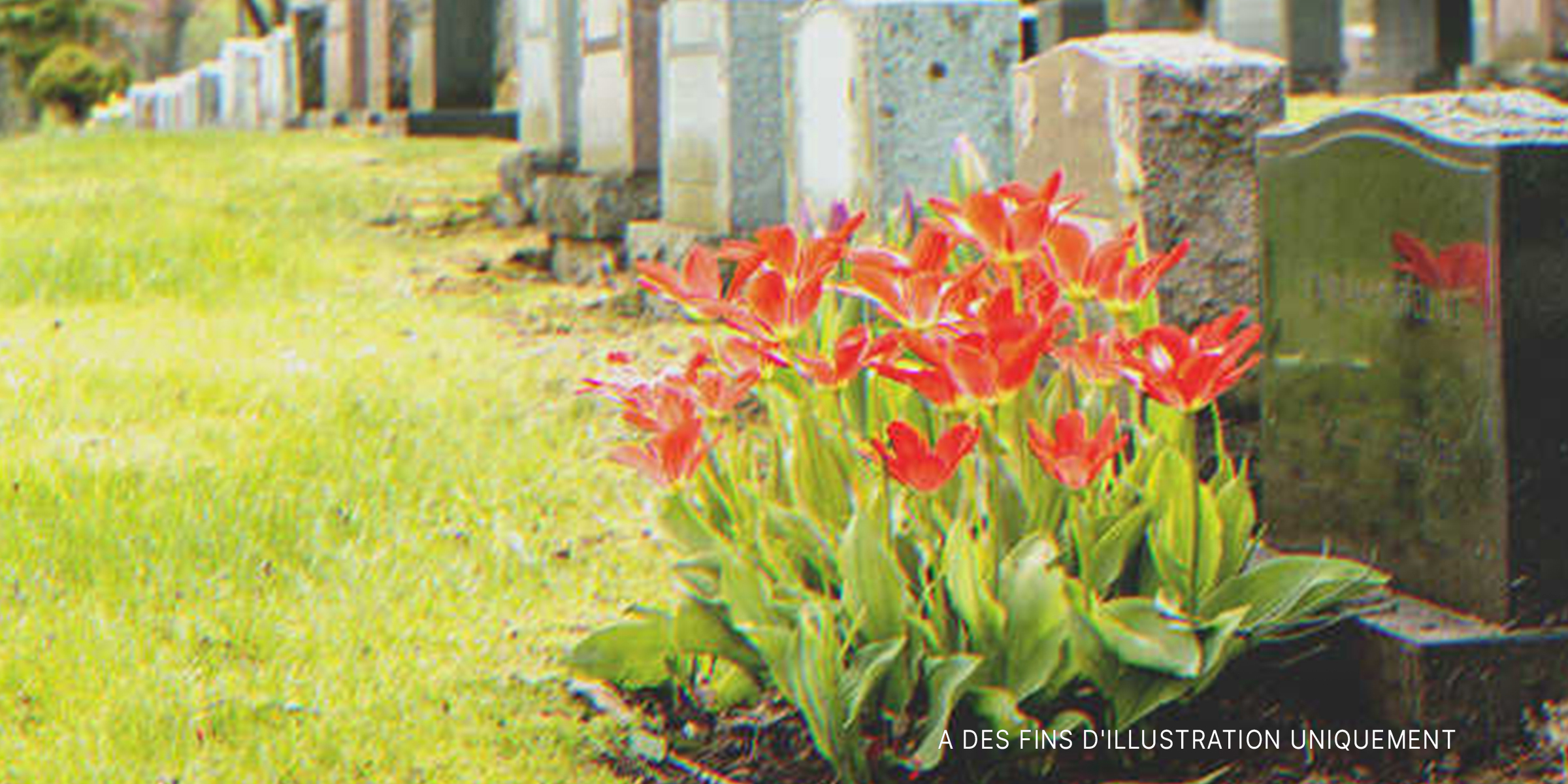 Des fleurs devant une tombe | Source : Shutterstock