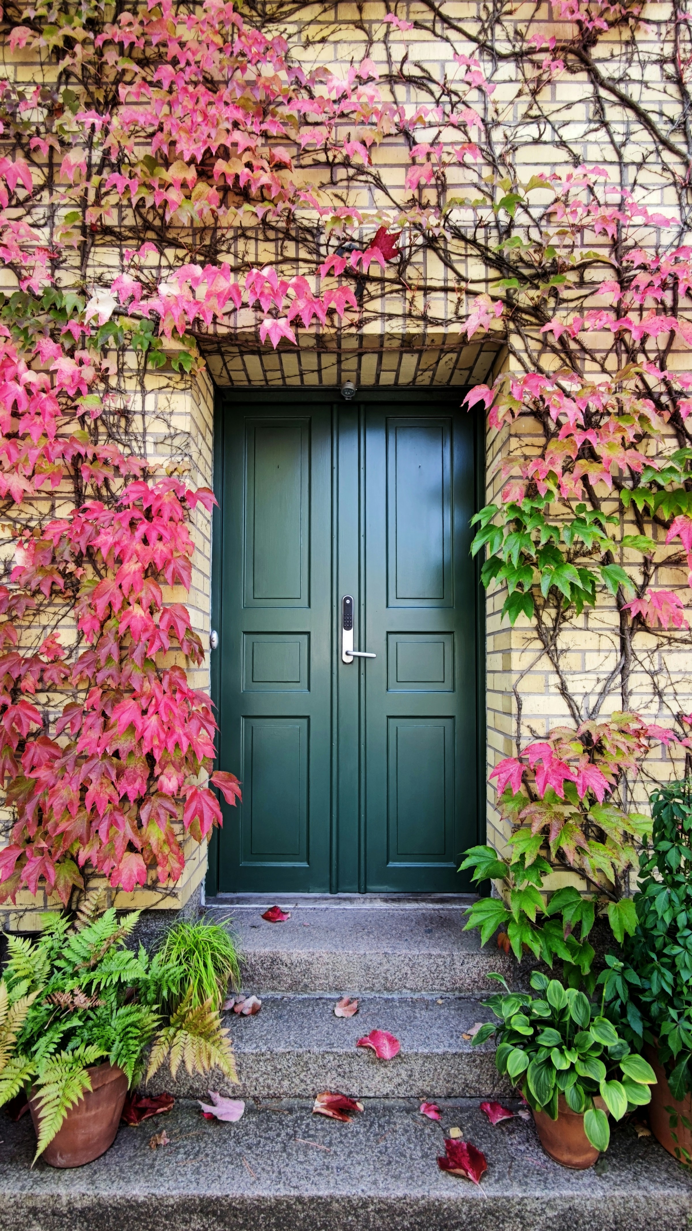 La porte d'entrée d'une maison | Source : Unsplash
