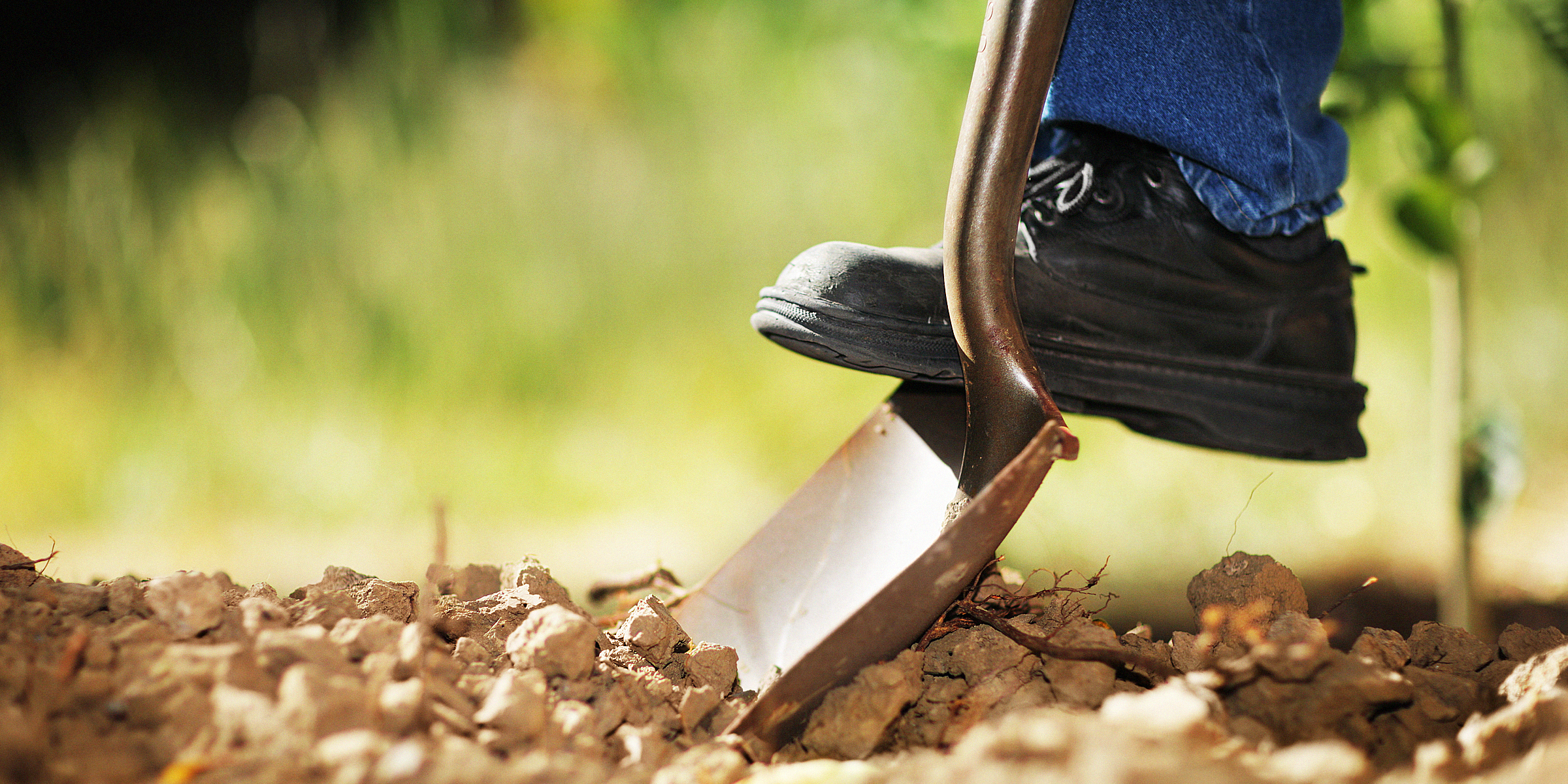 Personne creusant la terre avec une pelle | Source : Shutterstock