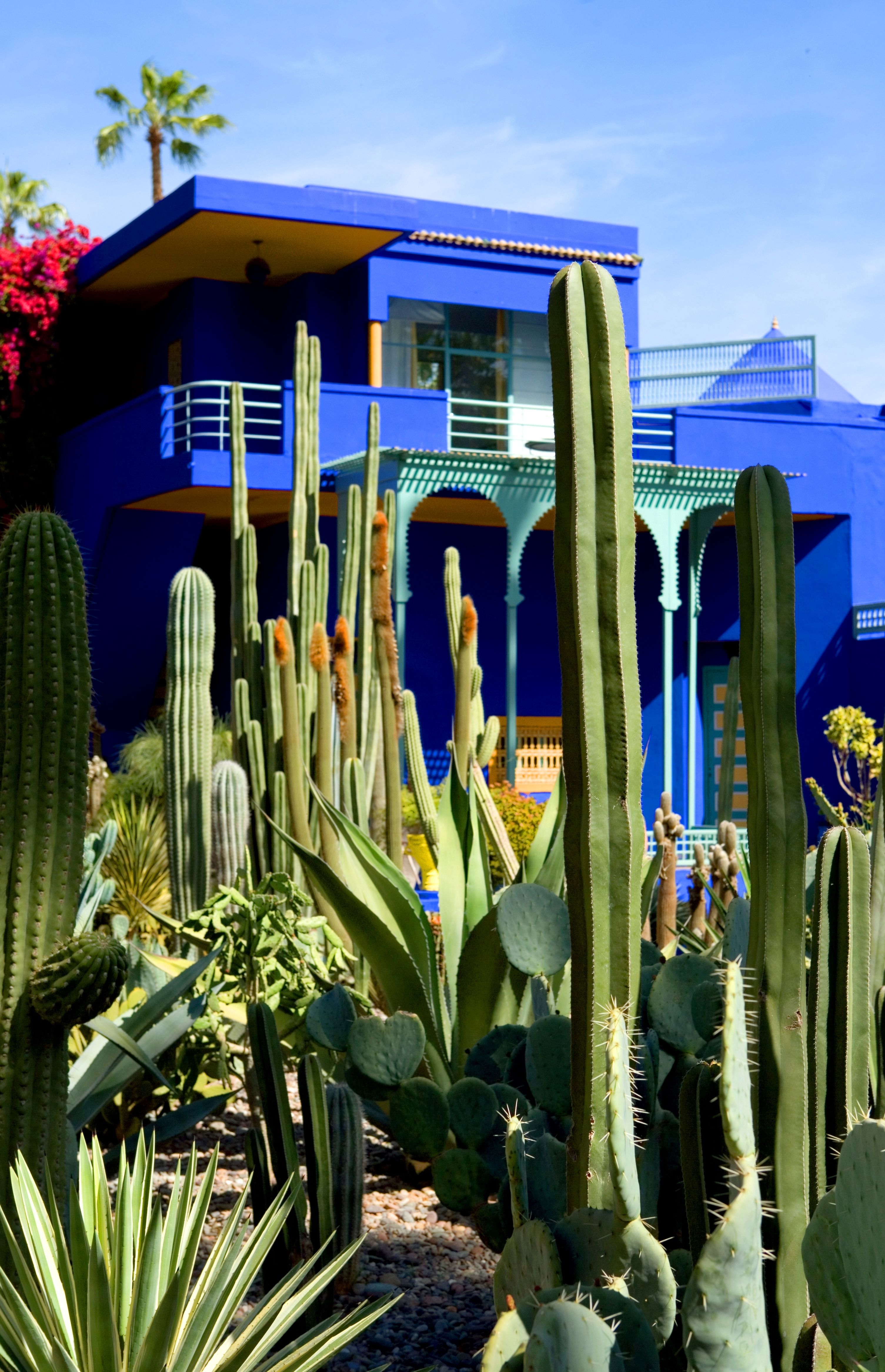 La villa Majorelle du couturier Yves Saint Laurent à Marrakech | Photo : Getty Images