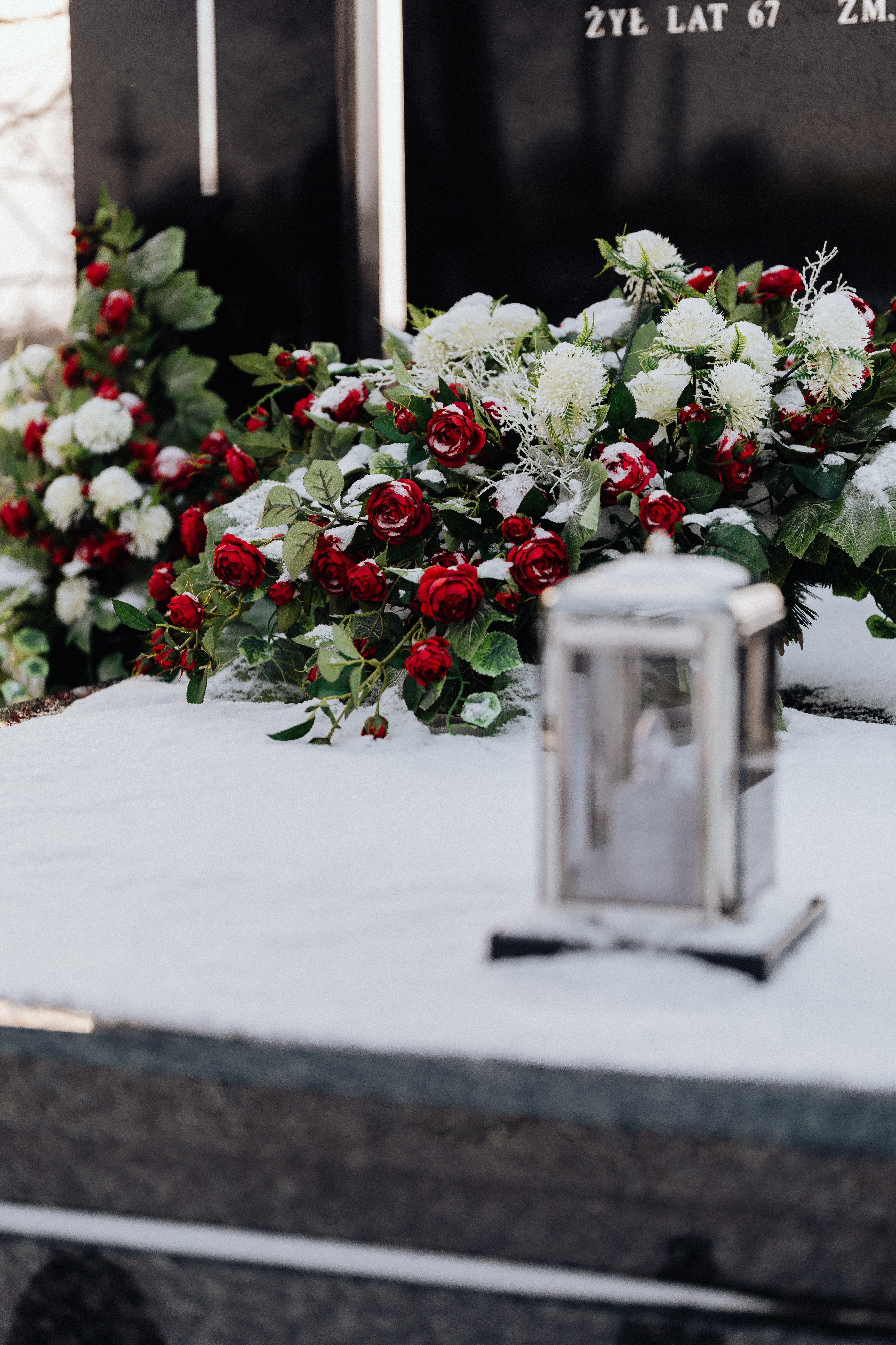 Fleurs rouges, blanches et vertes sur une surface plane. | Source : Pexels