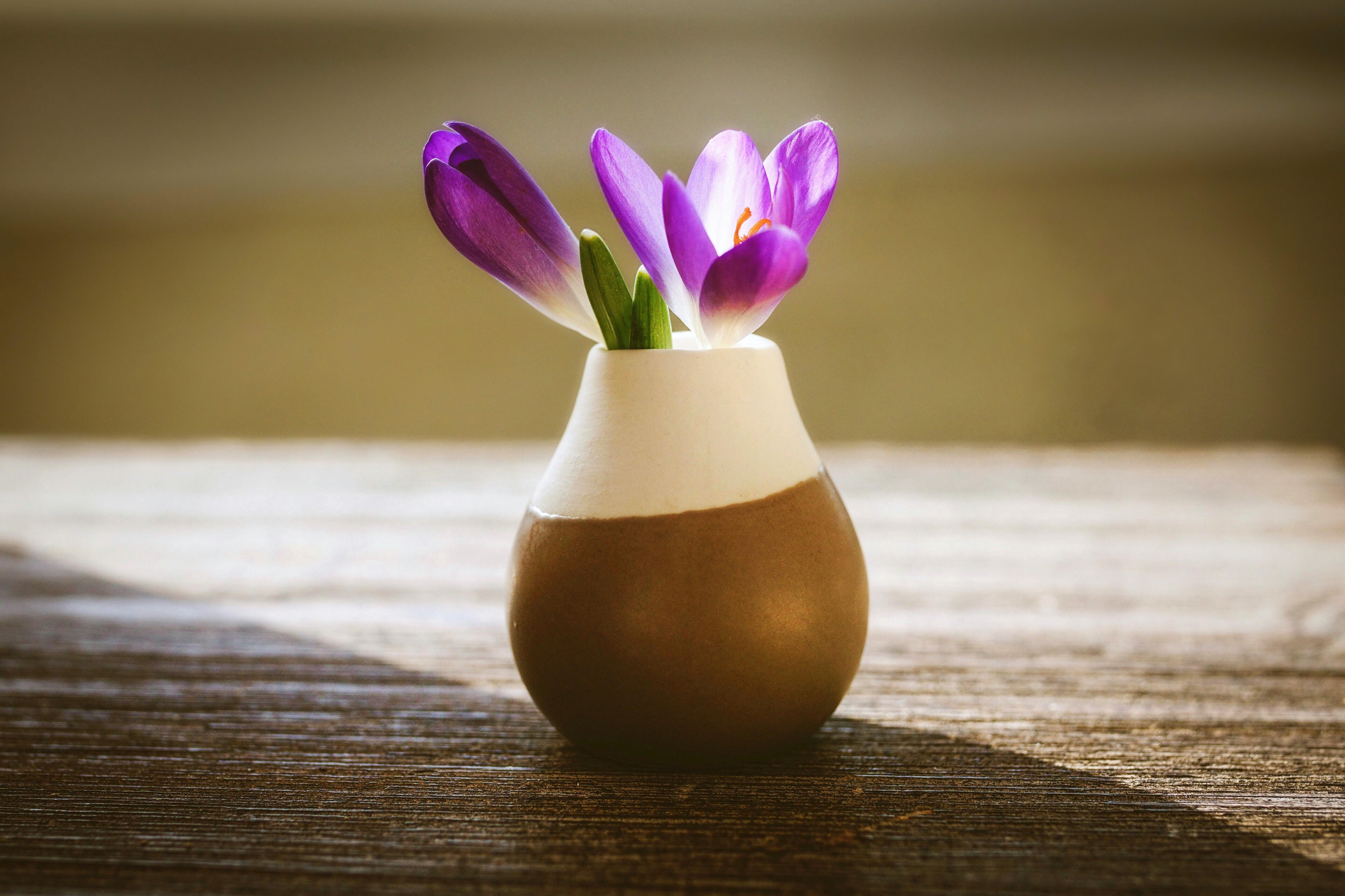 Un vase à fleurs | Source : Pexels