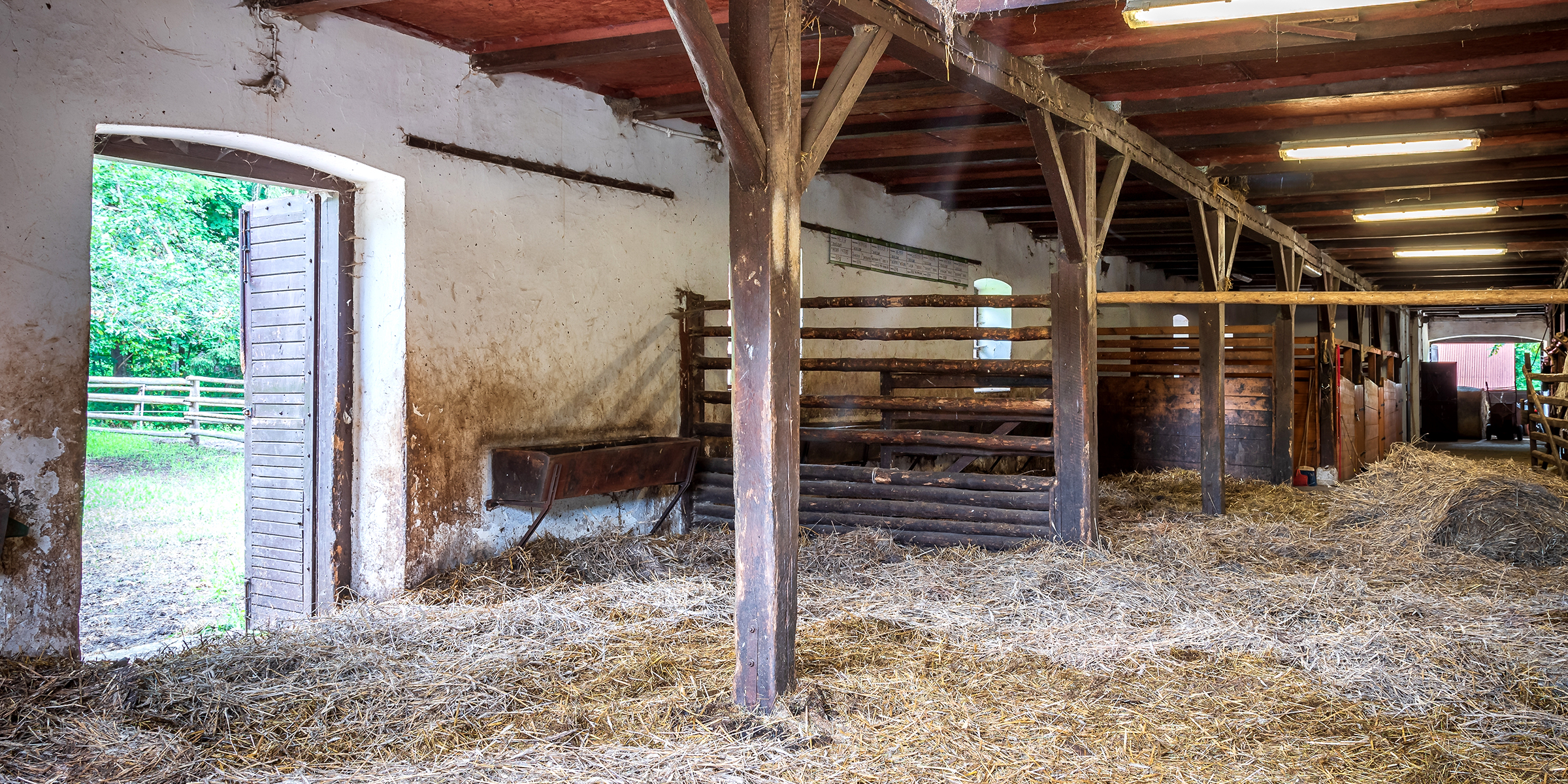 Un vieux hangar rempli de foin | Source : Shutterstock