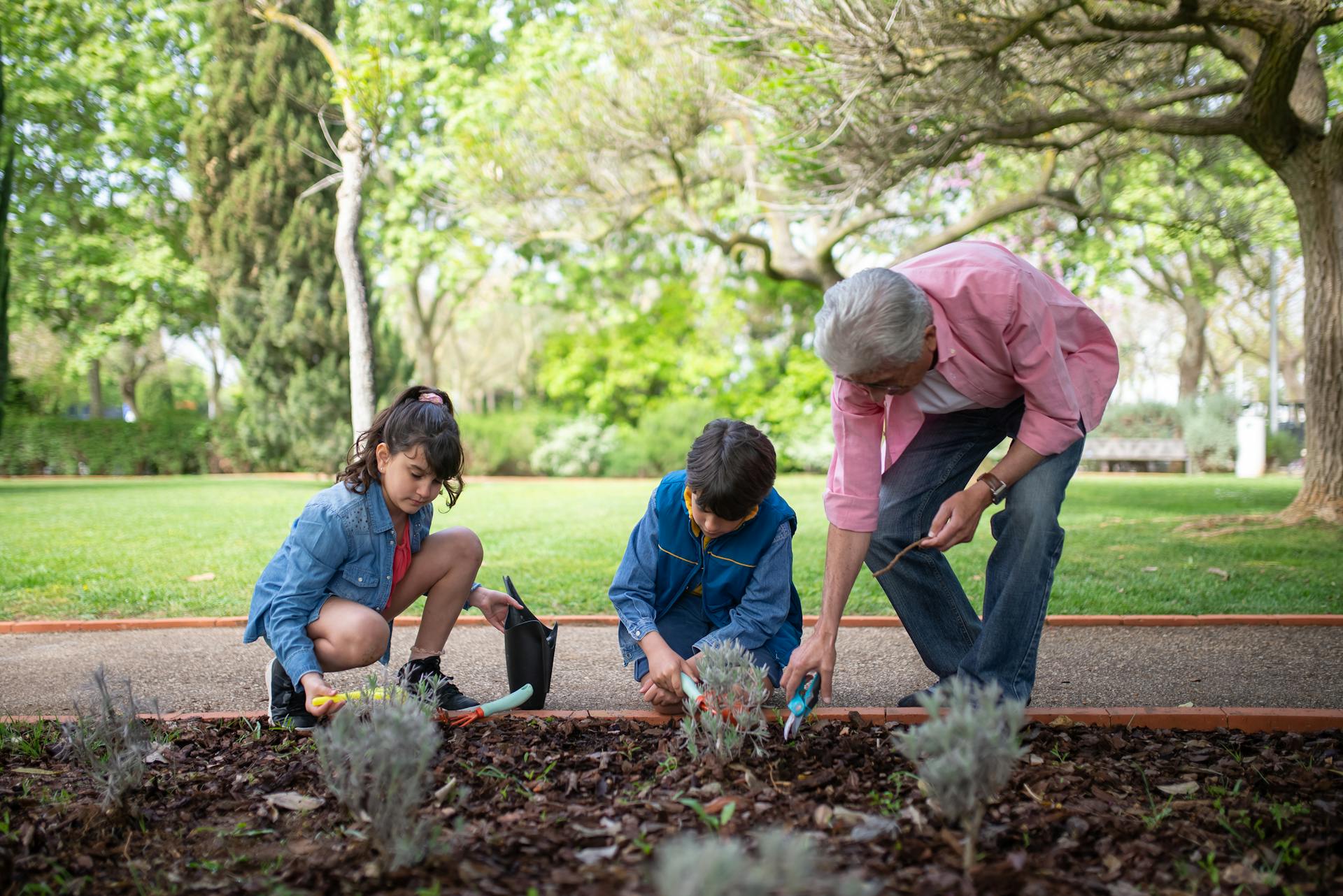 Un homme et deux enfants plantent des arbres dans un jardin | Source : Pexels