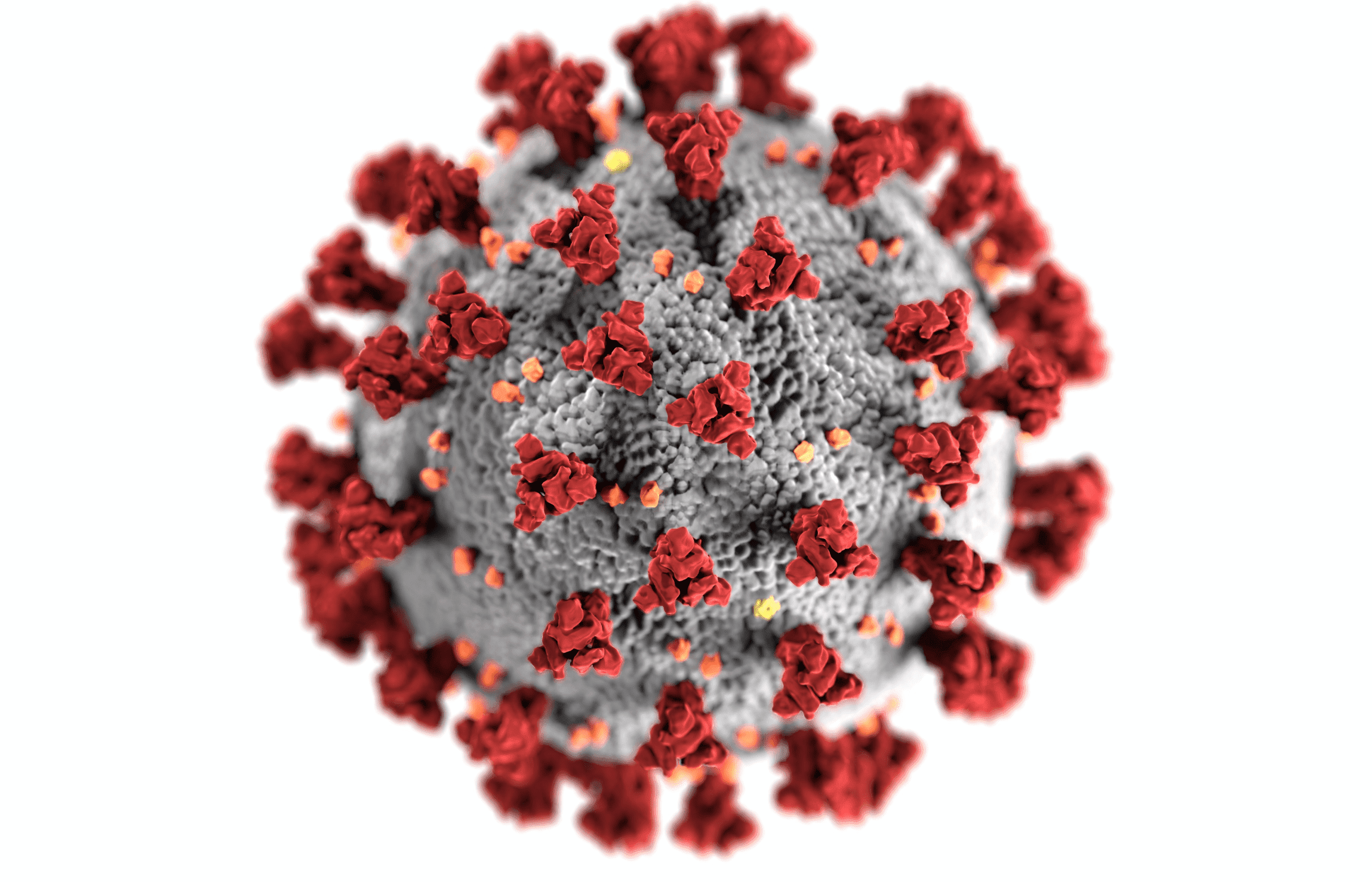  Illustration microscopique du corona virus. | Source: Pexels