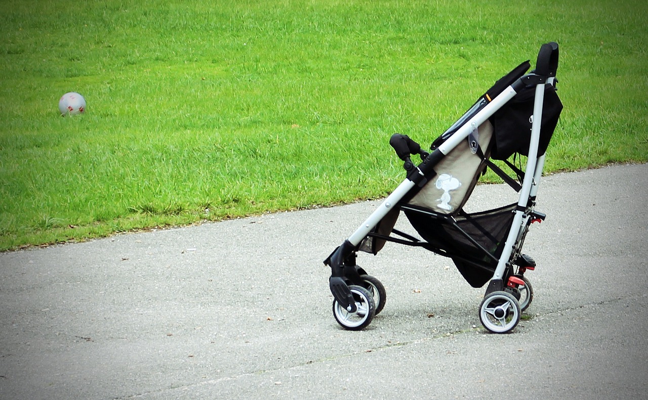 Une poussette de bébé sur le bord de la route près d'une herbe verte luxuriante | Source : Pixabay