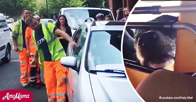 Un ouvrier brise la fenêtre d'une voiture avec un marteau car il ne pouvait pas voir les 3 créatures à l'intérieur de la voiture chaude