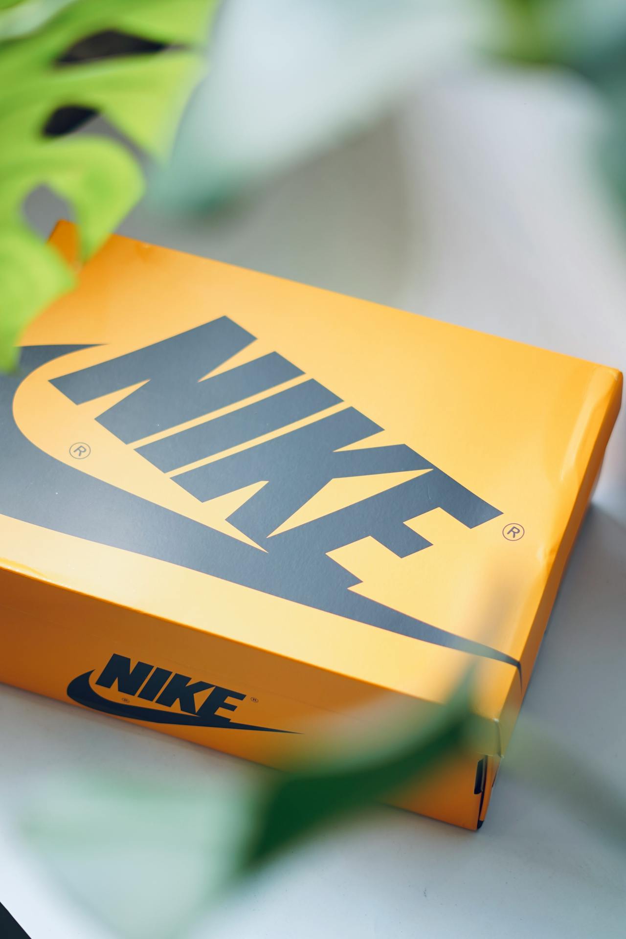 Une boîte à chaussures de marque | Source : Pexels