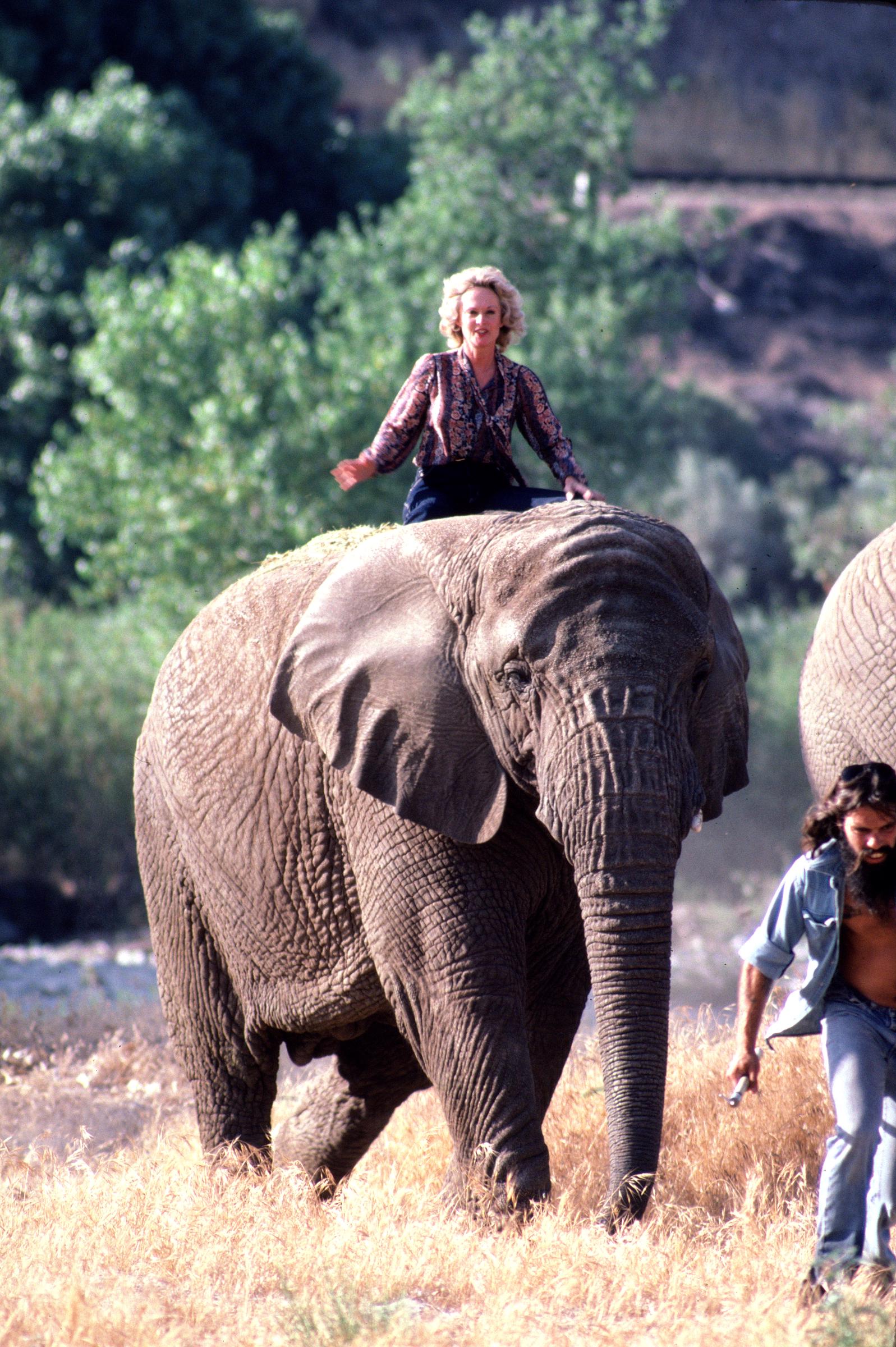 Melanie Griffiths est assise à califourchon sur un éléphant dans sa réserve animale de Saugus, en Californie, le 17 novembre 1983. | Source : Getty Images