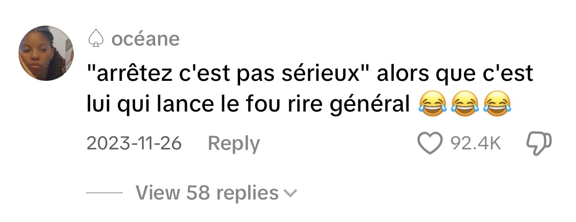 Commentaire d'un internaute | Source : TikTok/memespolitiques