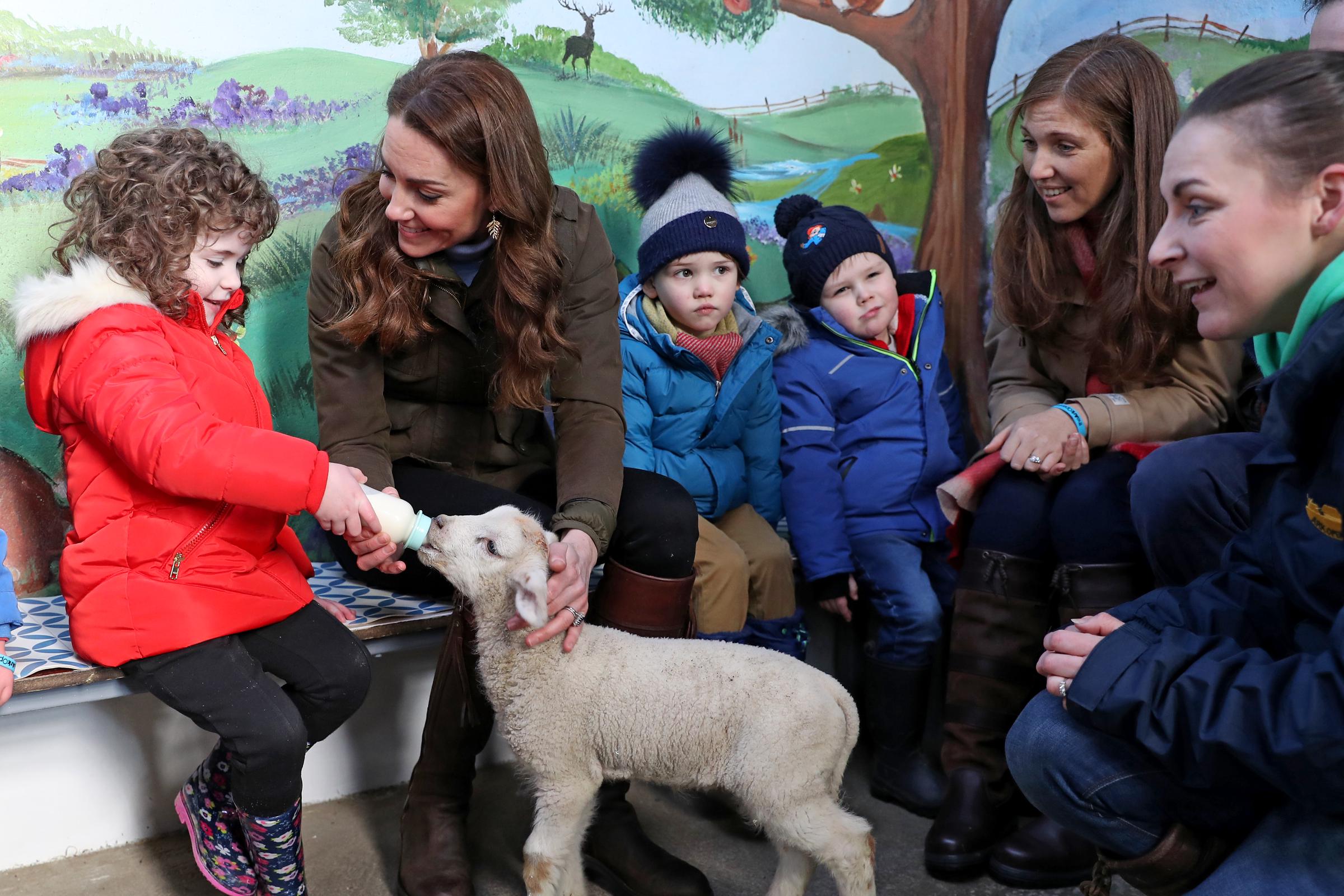 Catherine aide à nourrir un agneau avec des enfants de deux crèches locales lors d'une visite à la ferme ouverte The Ark, le 12 février 2020, à Newtownards, en Irlande du Nord. | Source : Getty Images