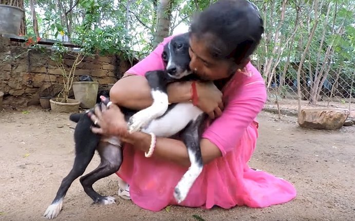 Source: Youtube/Animal Aid Unlimited, India