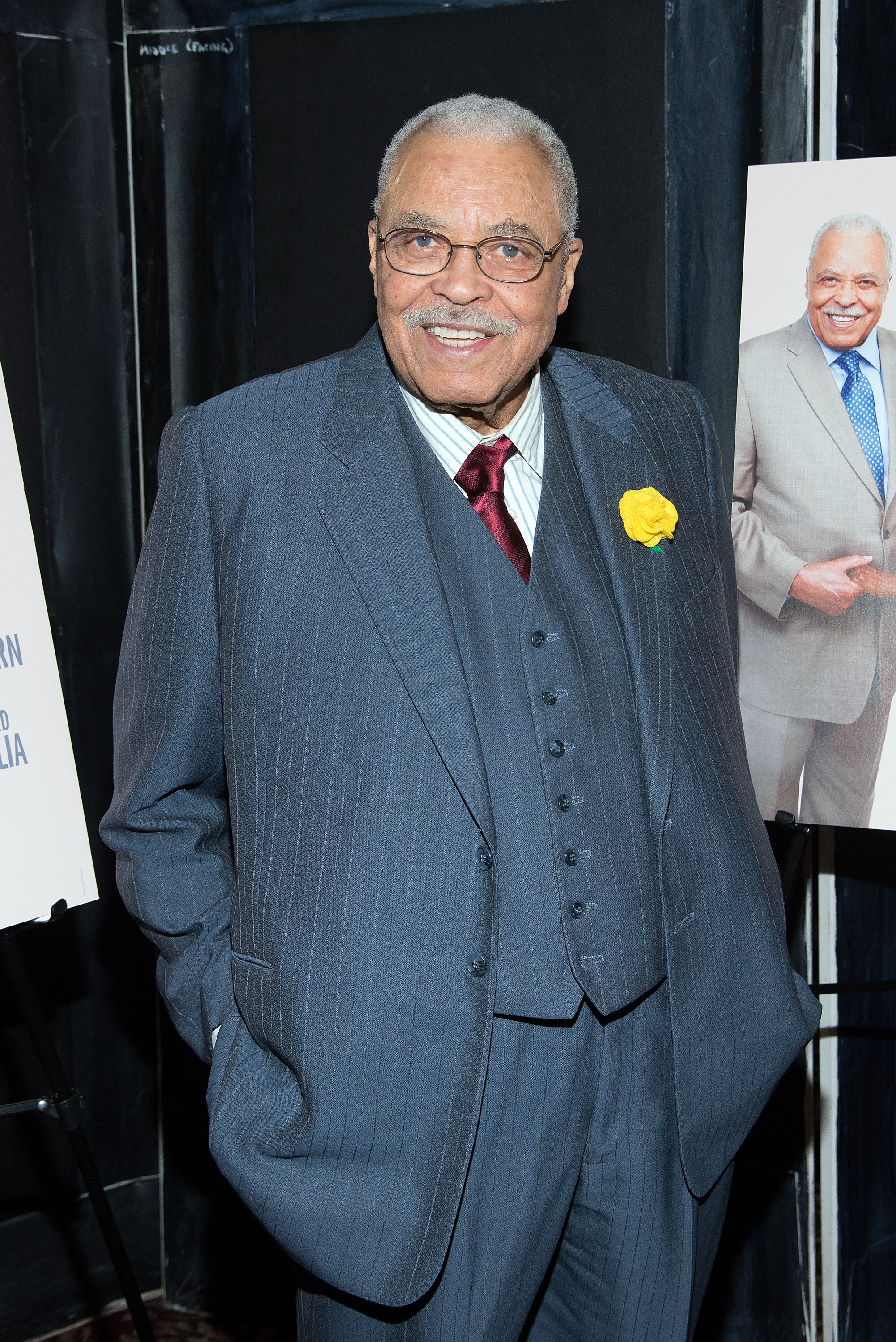 James Earl Jones photographié le 14 octobre 2015, à New York | Source : Getty Images