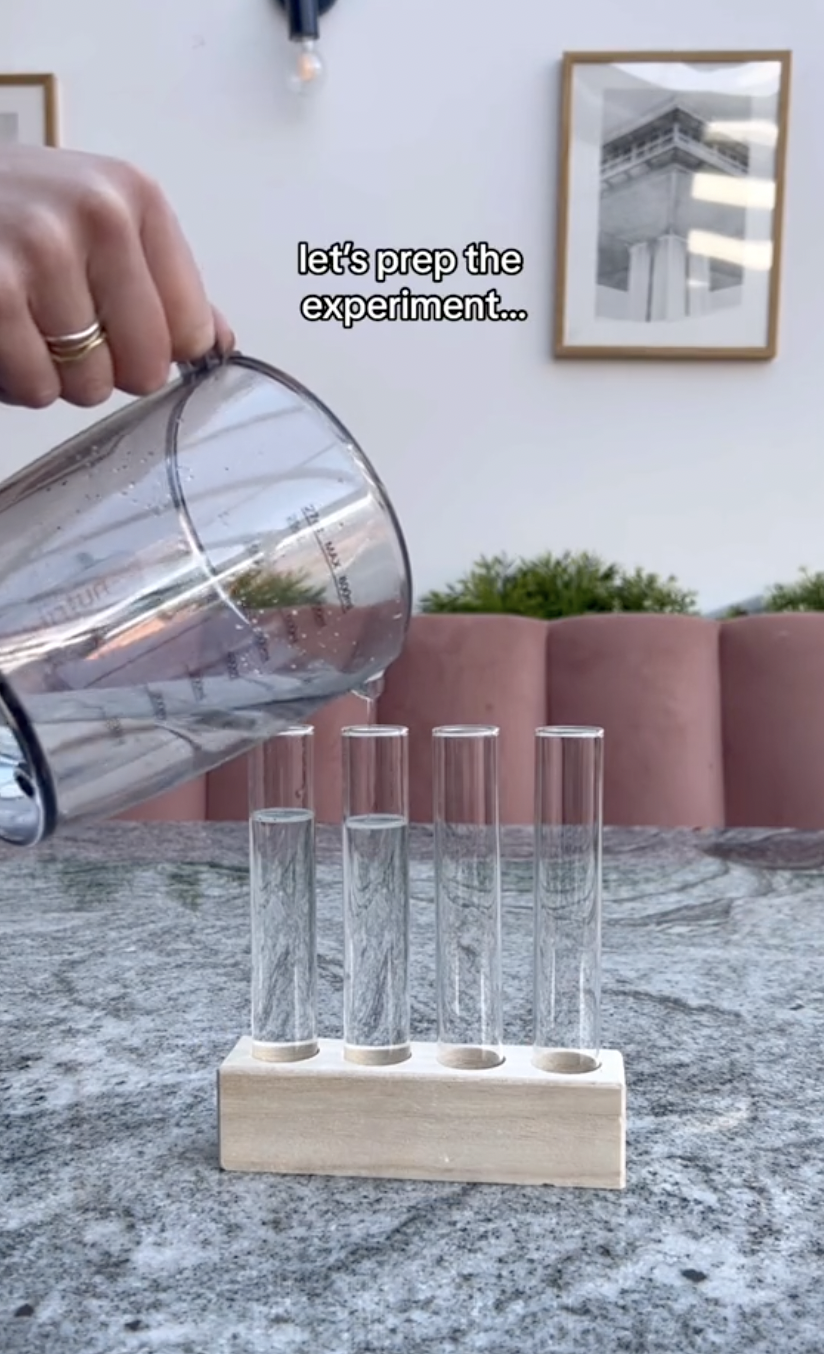 Deux tubes à essai remplis d'eau filtrée pour l'expérience de propagation dans un clip téléchargé le 5 octobre 2024 | Source : TikTok/thelittlelifelately