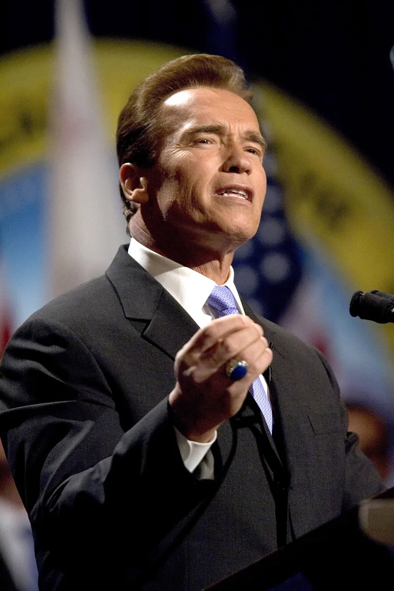 Arnold Schwarzenegger en Californie en 2007 | Source : Getty images