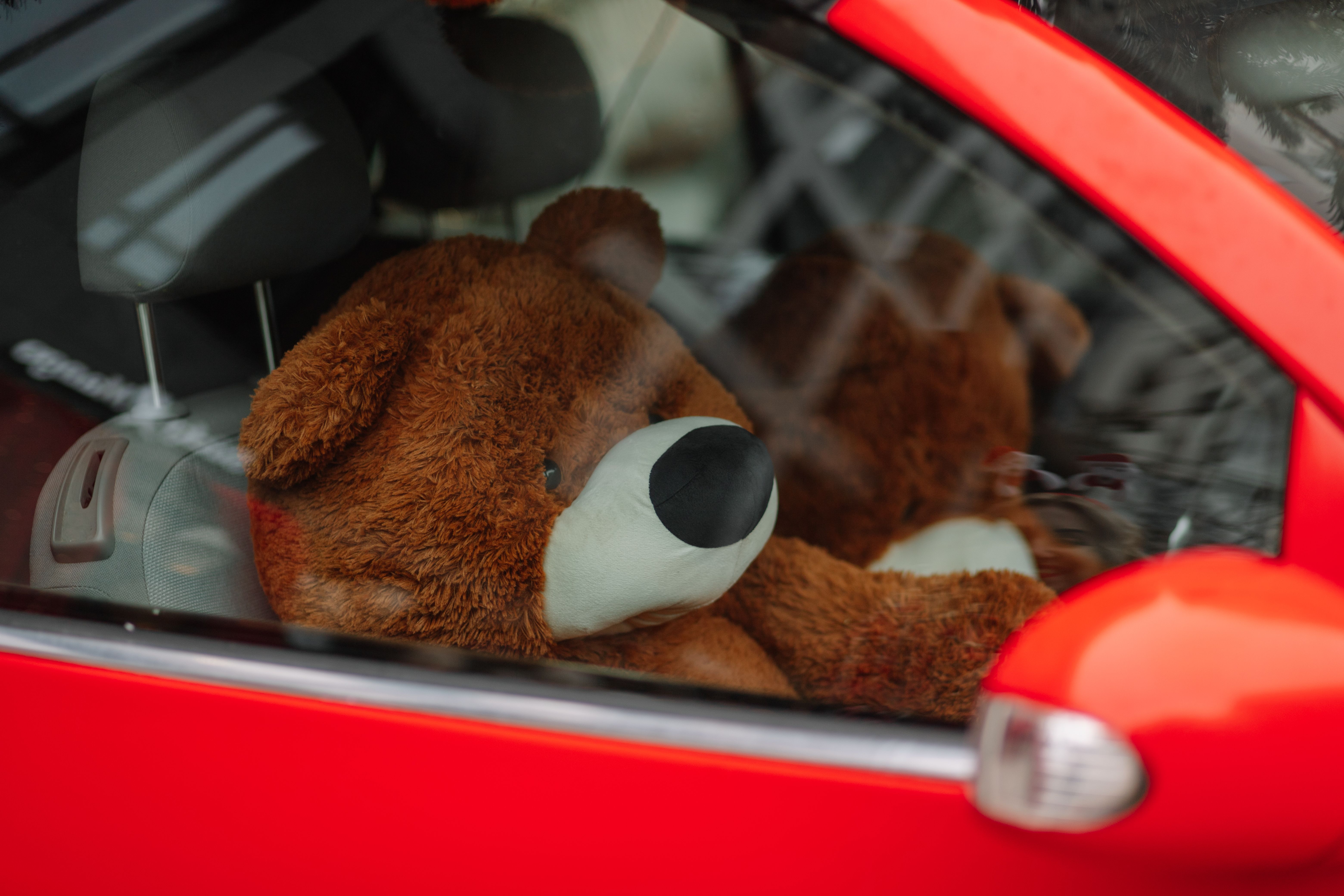 Un ours en peluche dans une voiture | Source : Pexels