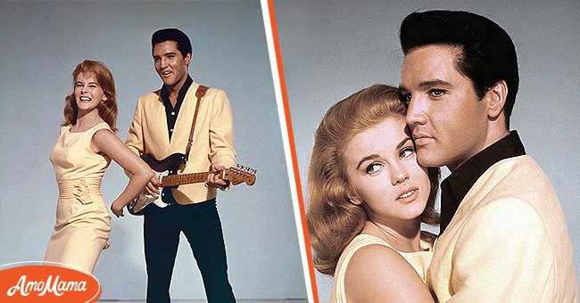 Photos d'Elvis Presley et d'Ann-Margret | Photo : Getty Images