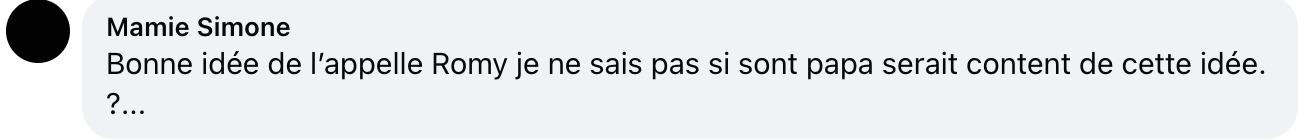 Commentaire d'internaute sur le prénom du bébé | Source : capture Instagram@laubsd