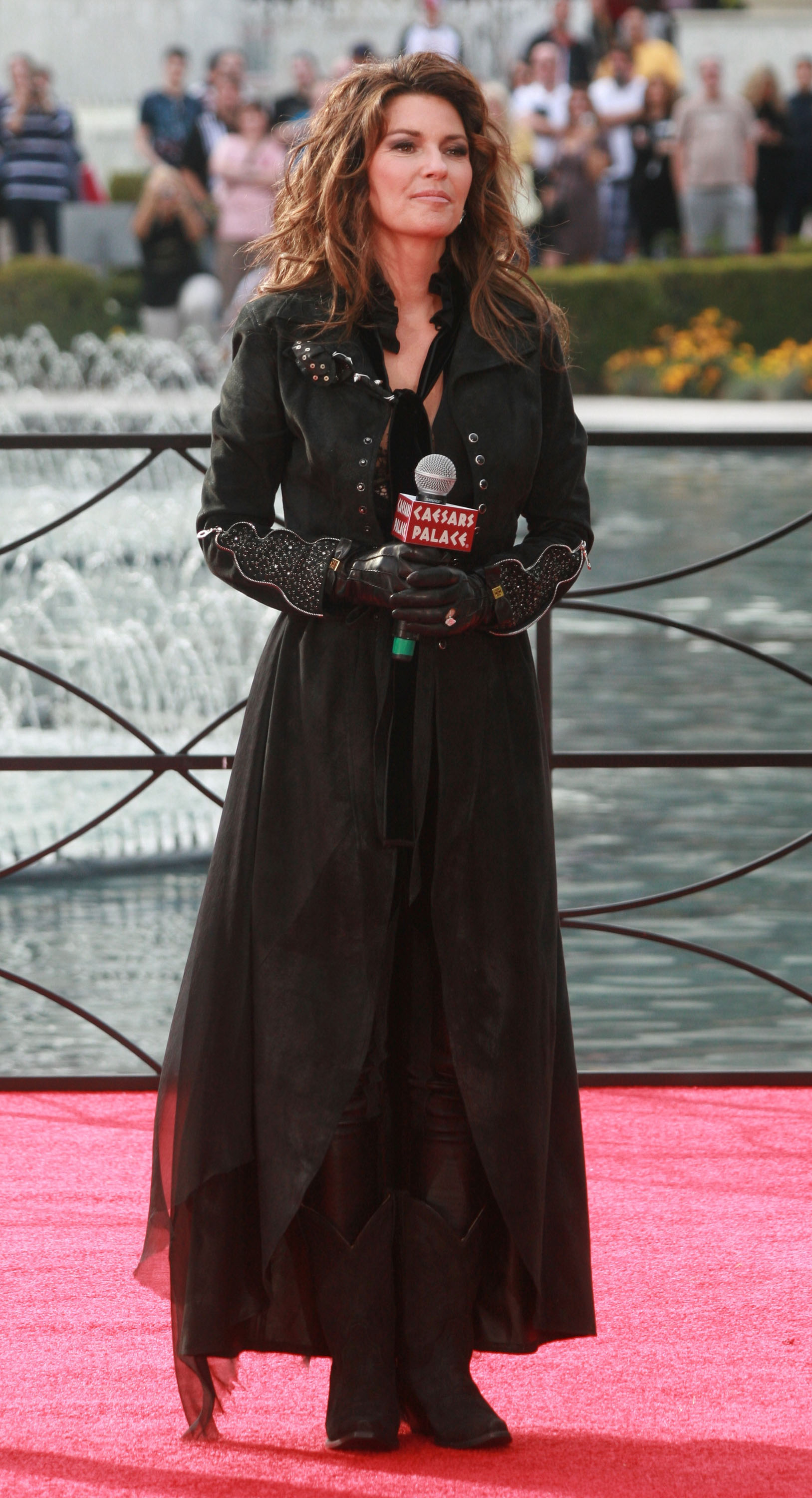 Shania Twain fait une grande entrée au Caesars Palace le 14 novembre 2012 à Las Vegas, Nevada. | Source : Getty Images