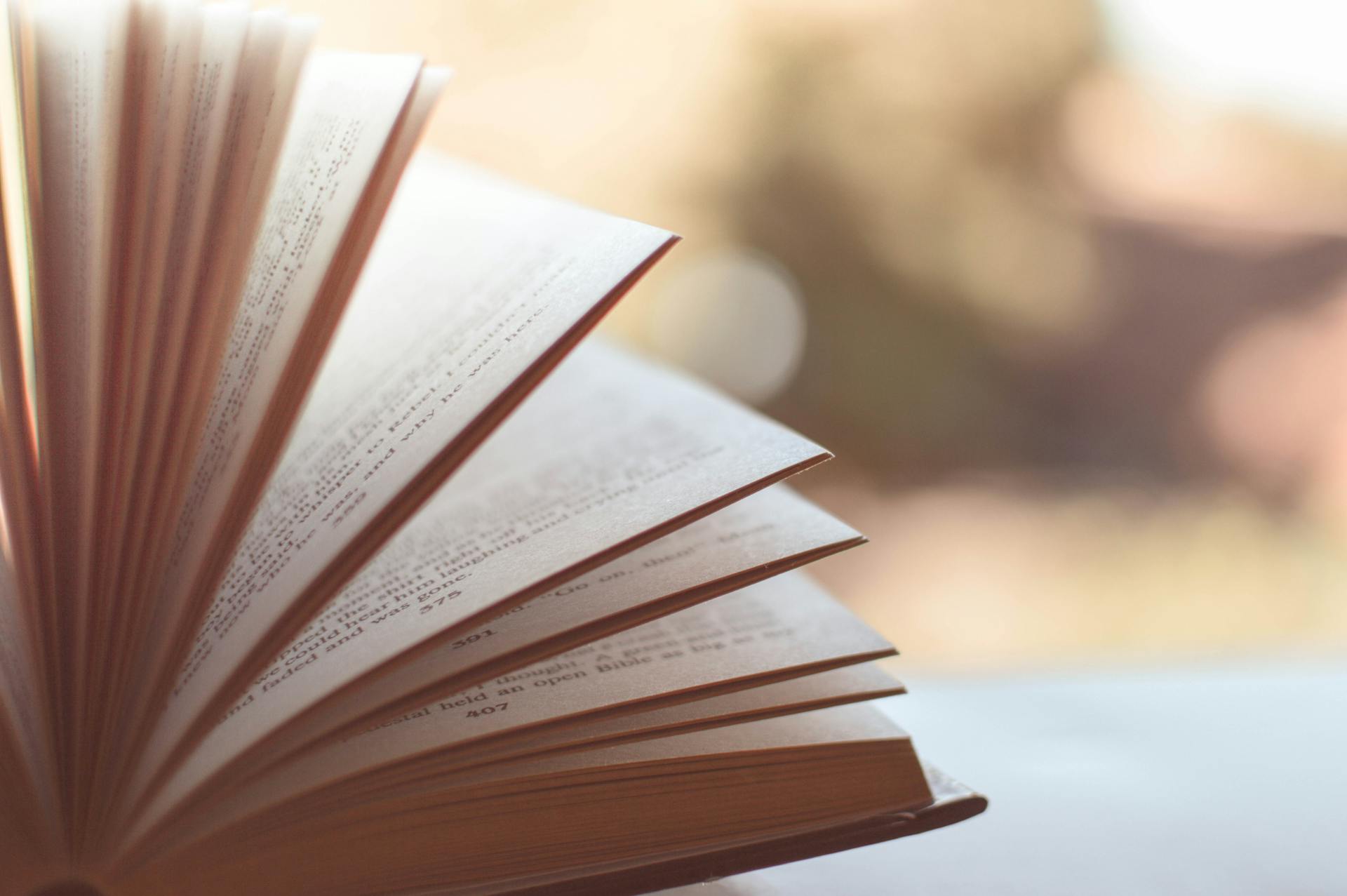 Un livre ouvert | Source : Pexels