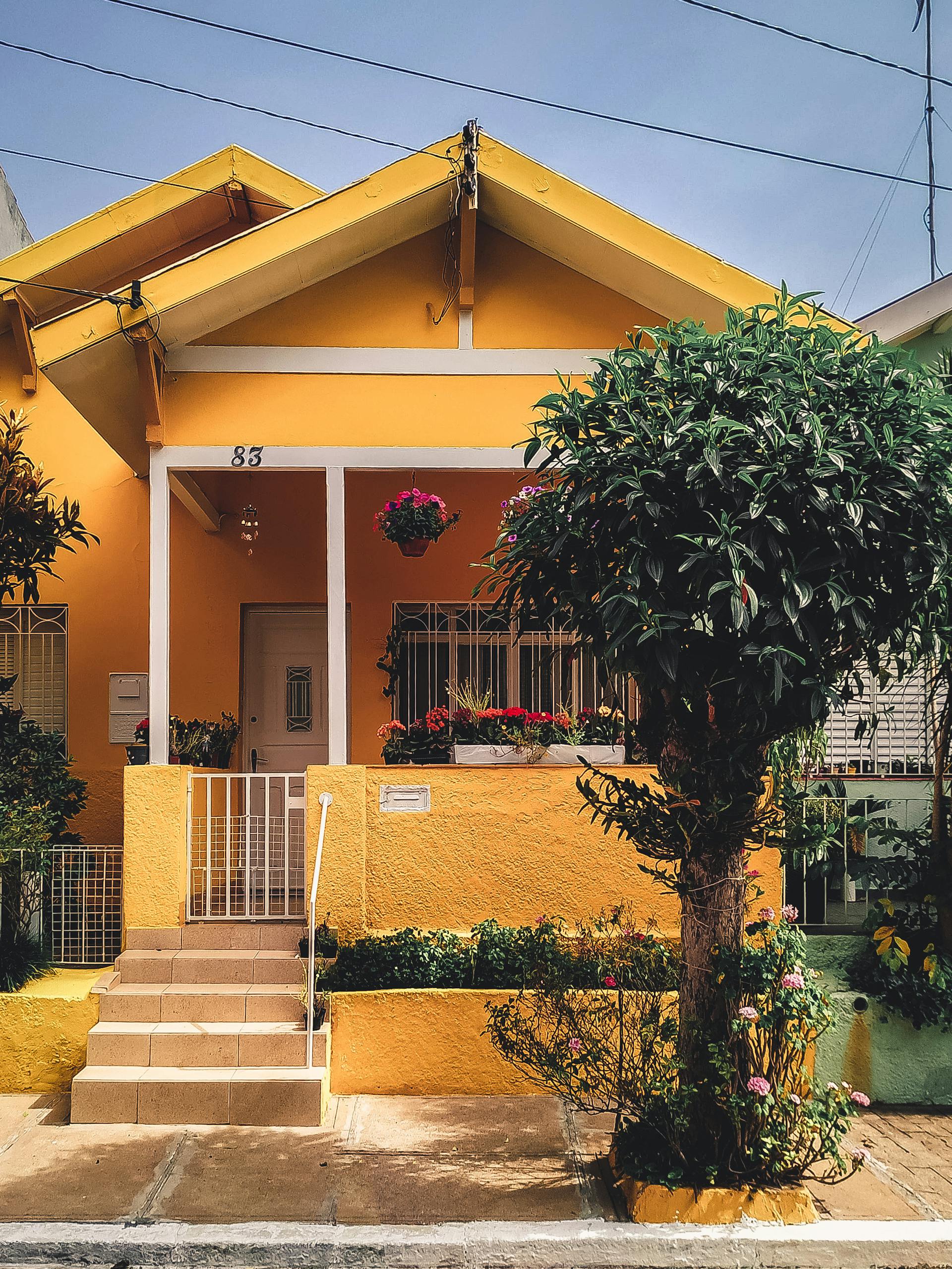 Une maison jaune avec un arbre à l'extérieur | Source : Pexels