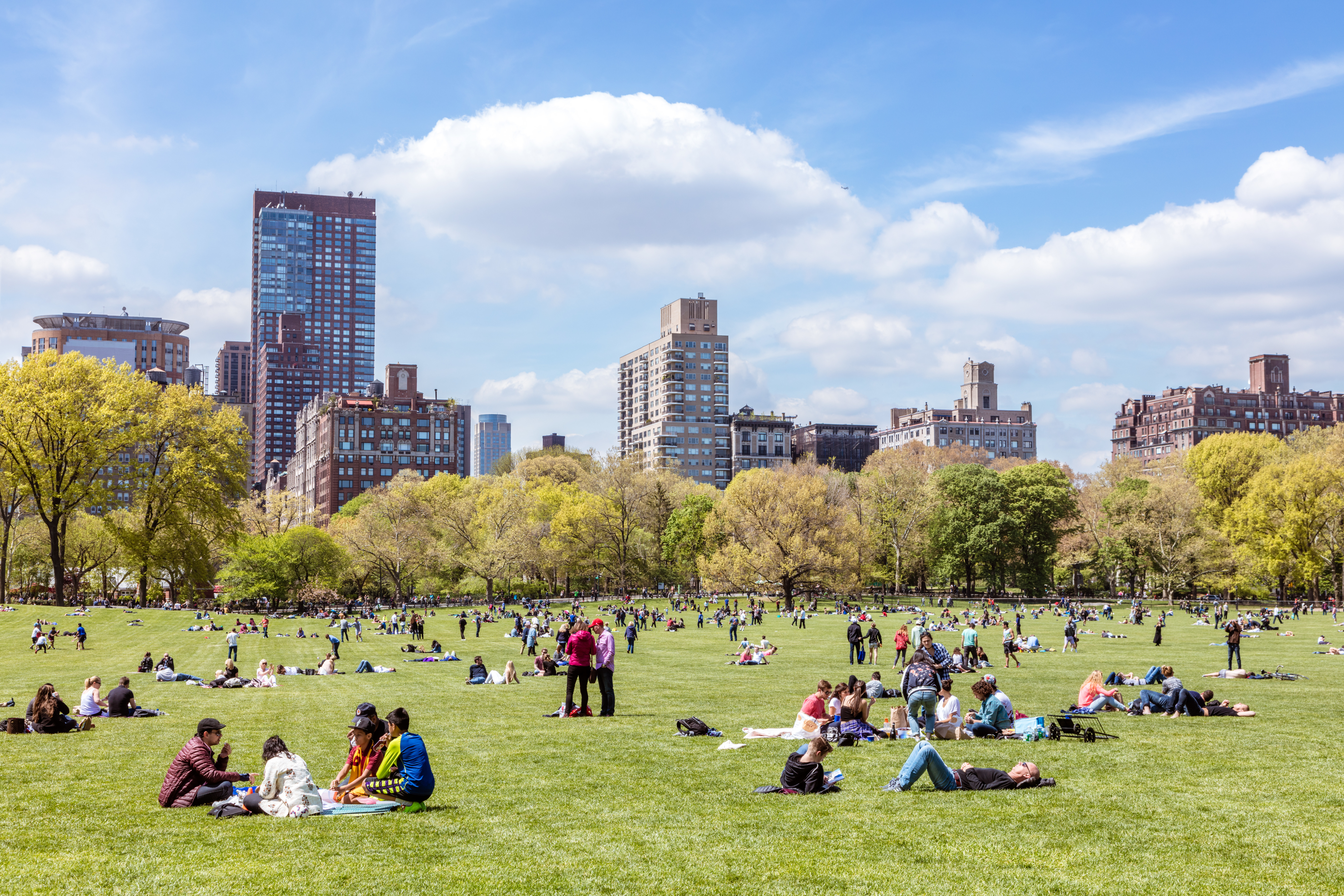 Central Park au printemps | Source : Getty Images