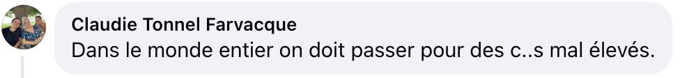 Commentaire d'internaute sur le geste d'Emmanuel Macron | Source : capture facebook.com/parismatchmag
