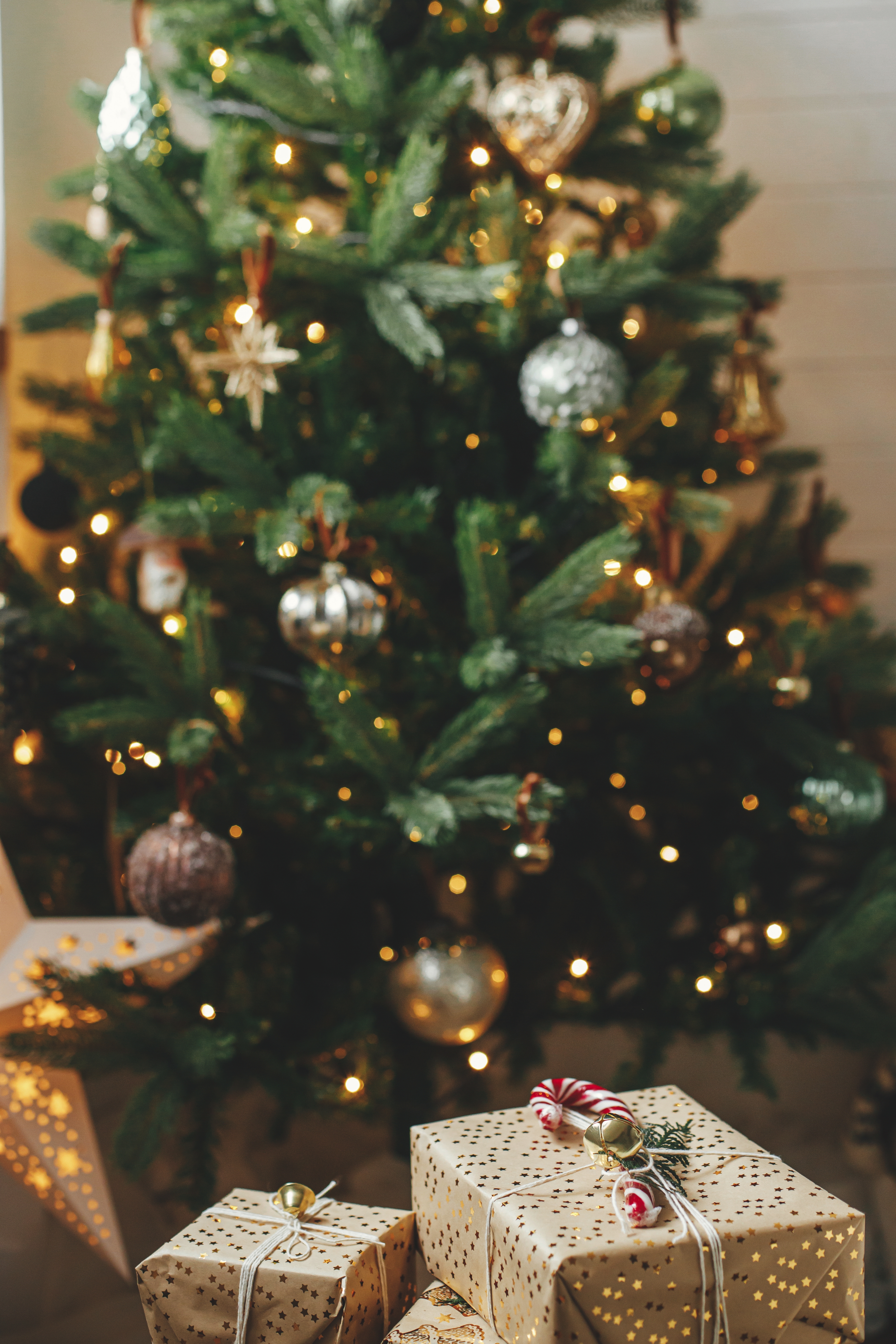 Boîtes de cadeaux placées sous un sapin de Noël | Source : Shutterstock