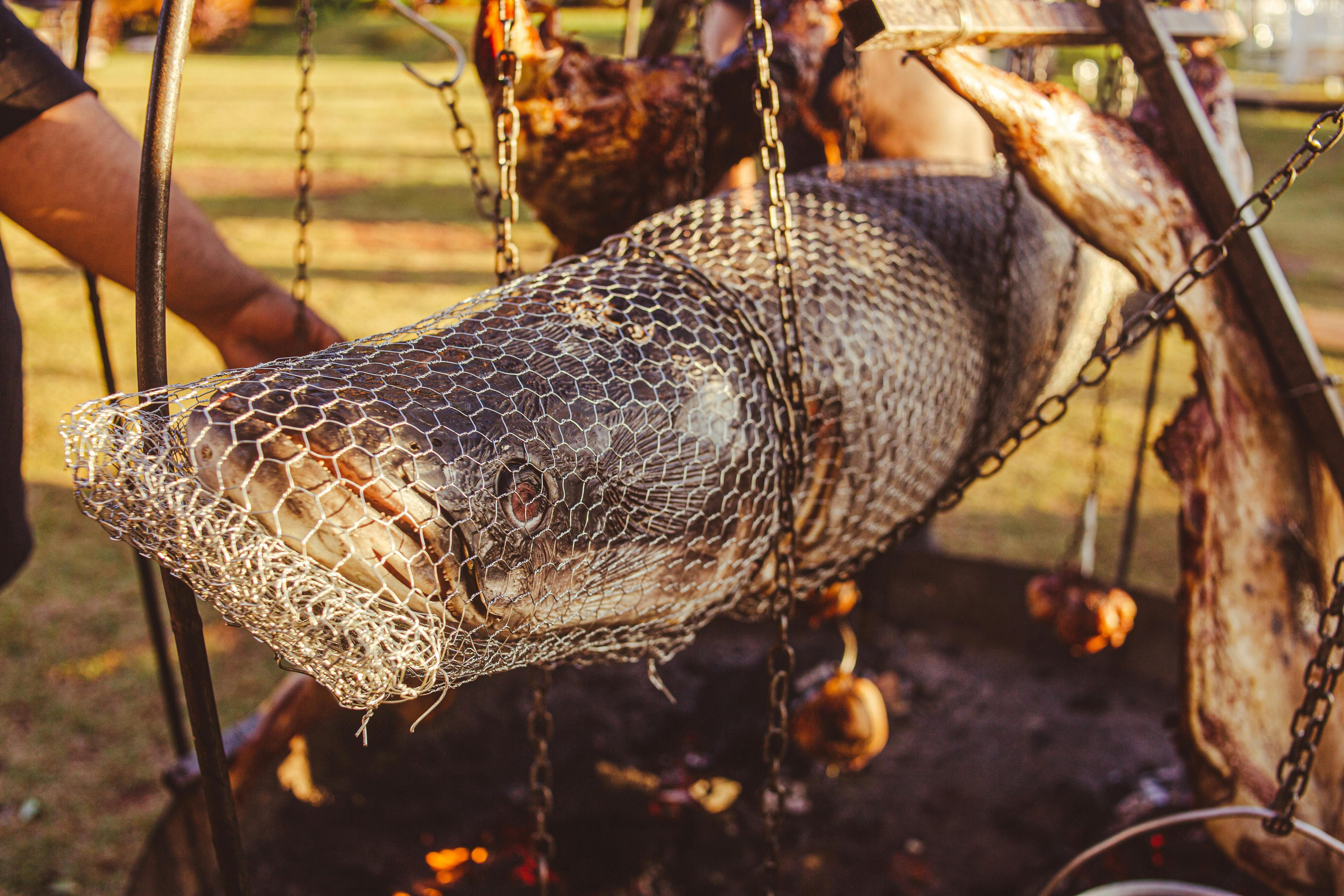 Gros poisson attrapé avec un filet de pêche | Source : Pexels