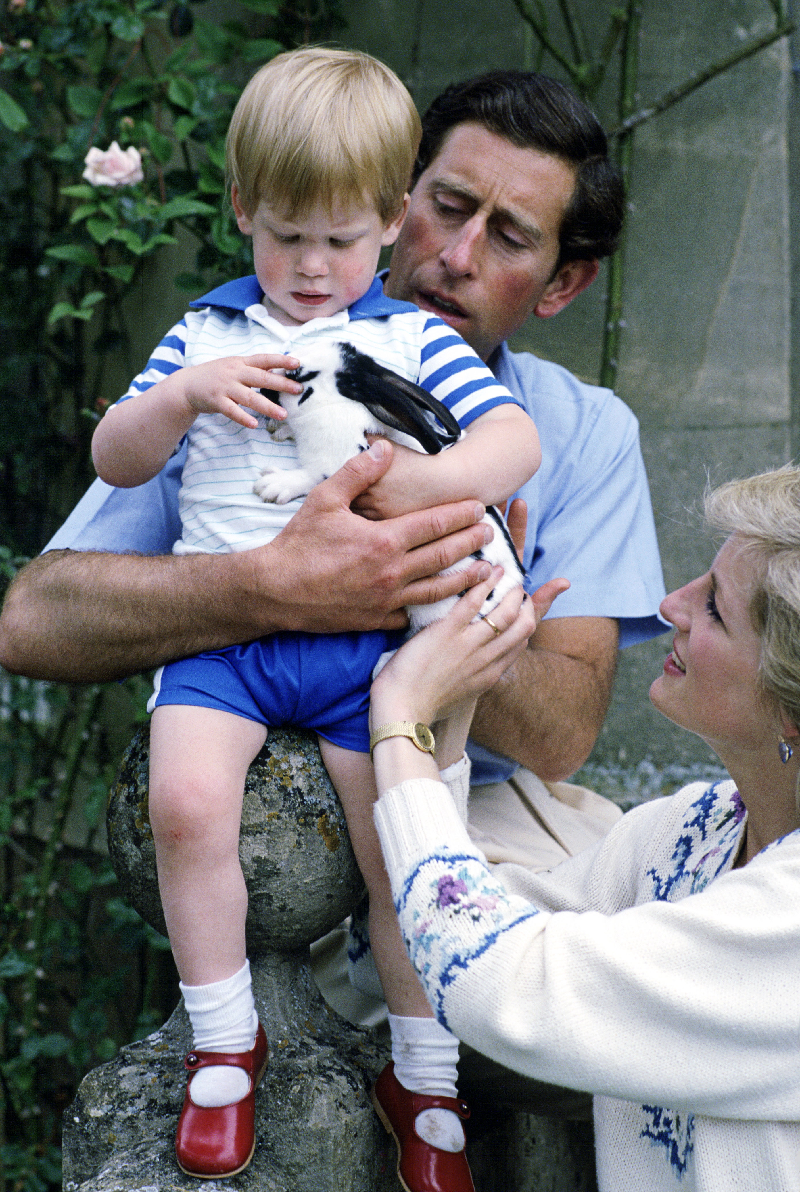 Diana Princesse de Galles, Charles Prince de Galles et le Prince Harry le 14 juillet 1986 à Highgrove, Royaume-Uni | Source : Getty Images