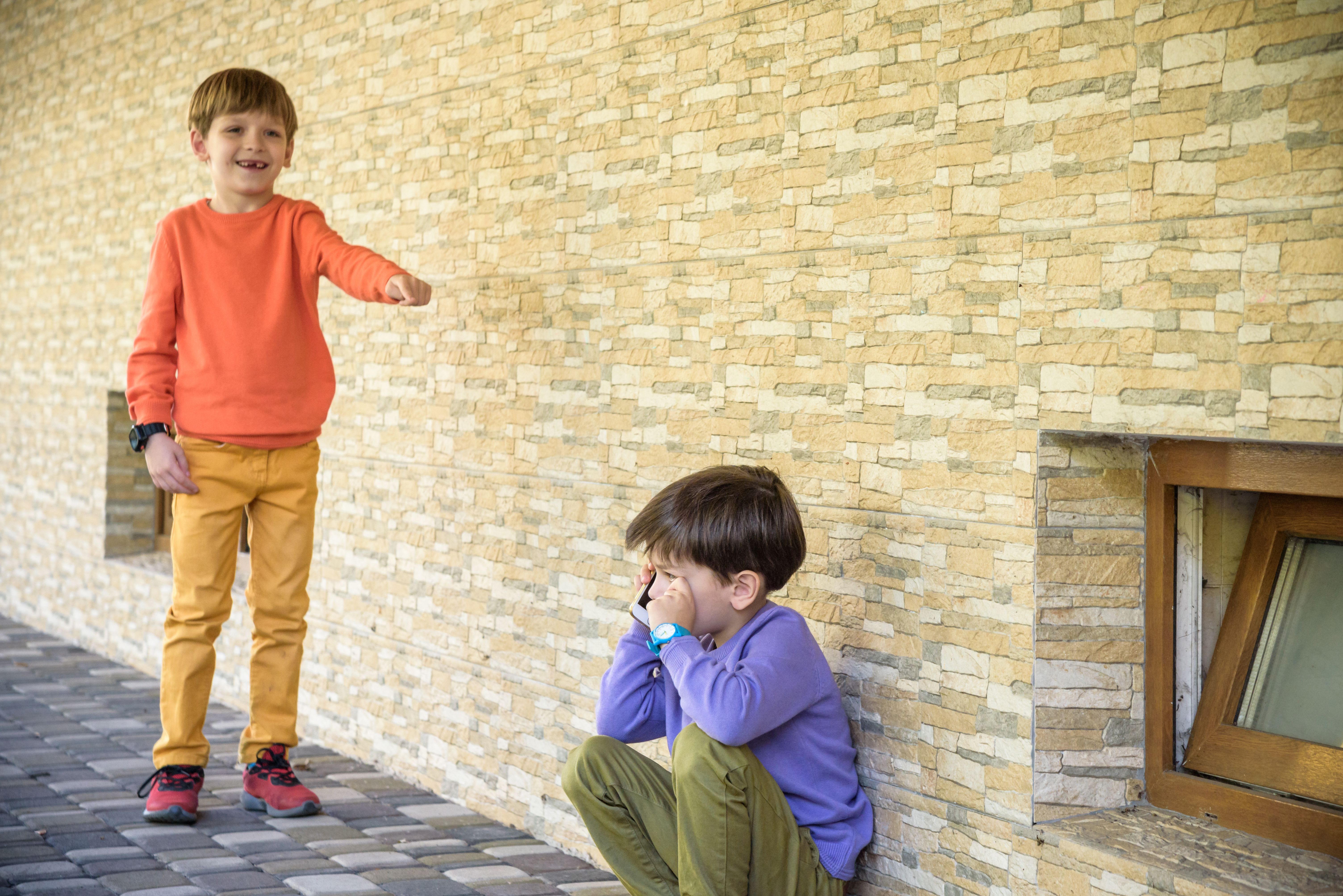 Un jeune garçon se moque d'un autre petit garçon qui pleure | Source : Shutterstock
