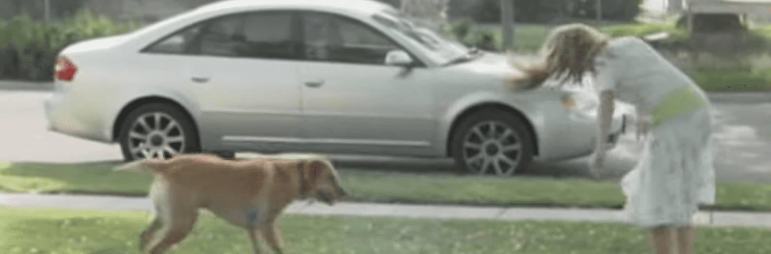 Kaylee jouant dehors avec son chien. | Source : youtube.com/ABC News