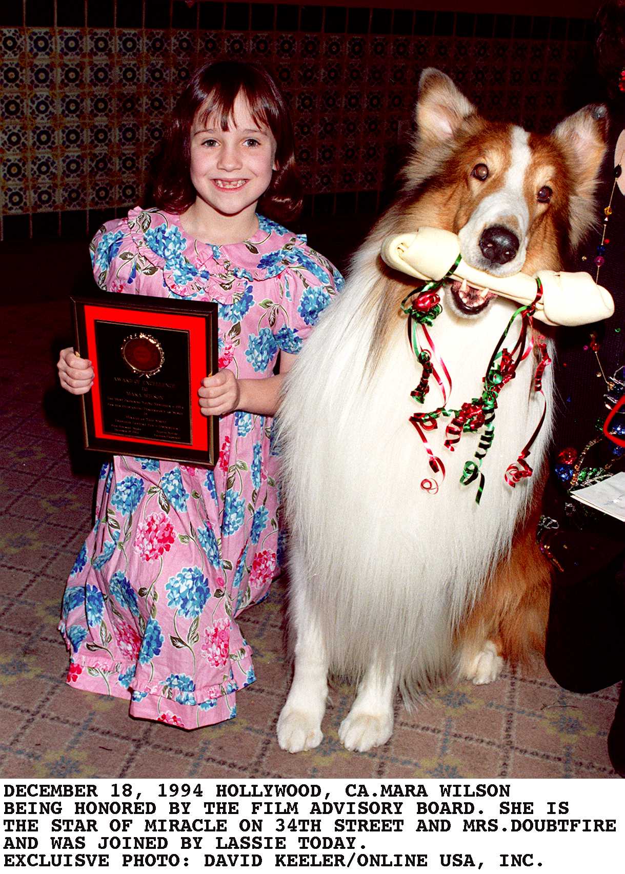 Mara Wilson et Lassie sont honorés par le comité consultatif du film le 16 décembre 1994 à Los Angeles, Californie. | Source : Getty Images
