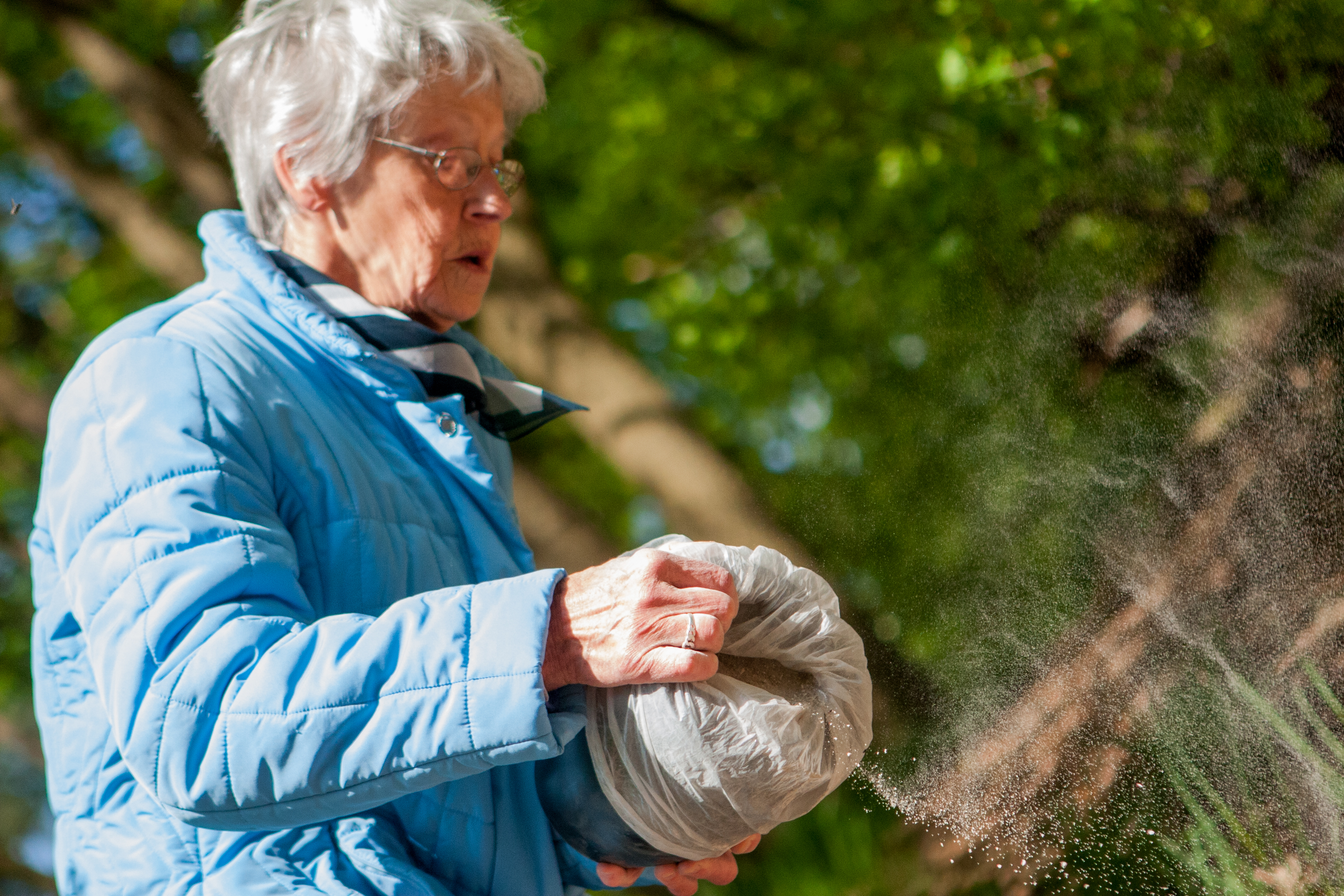 Une dame âgée répand les cendres d'un être cher dans une forêt | Source : Shutterstock