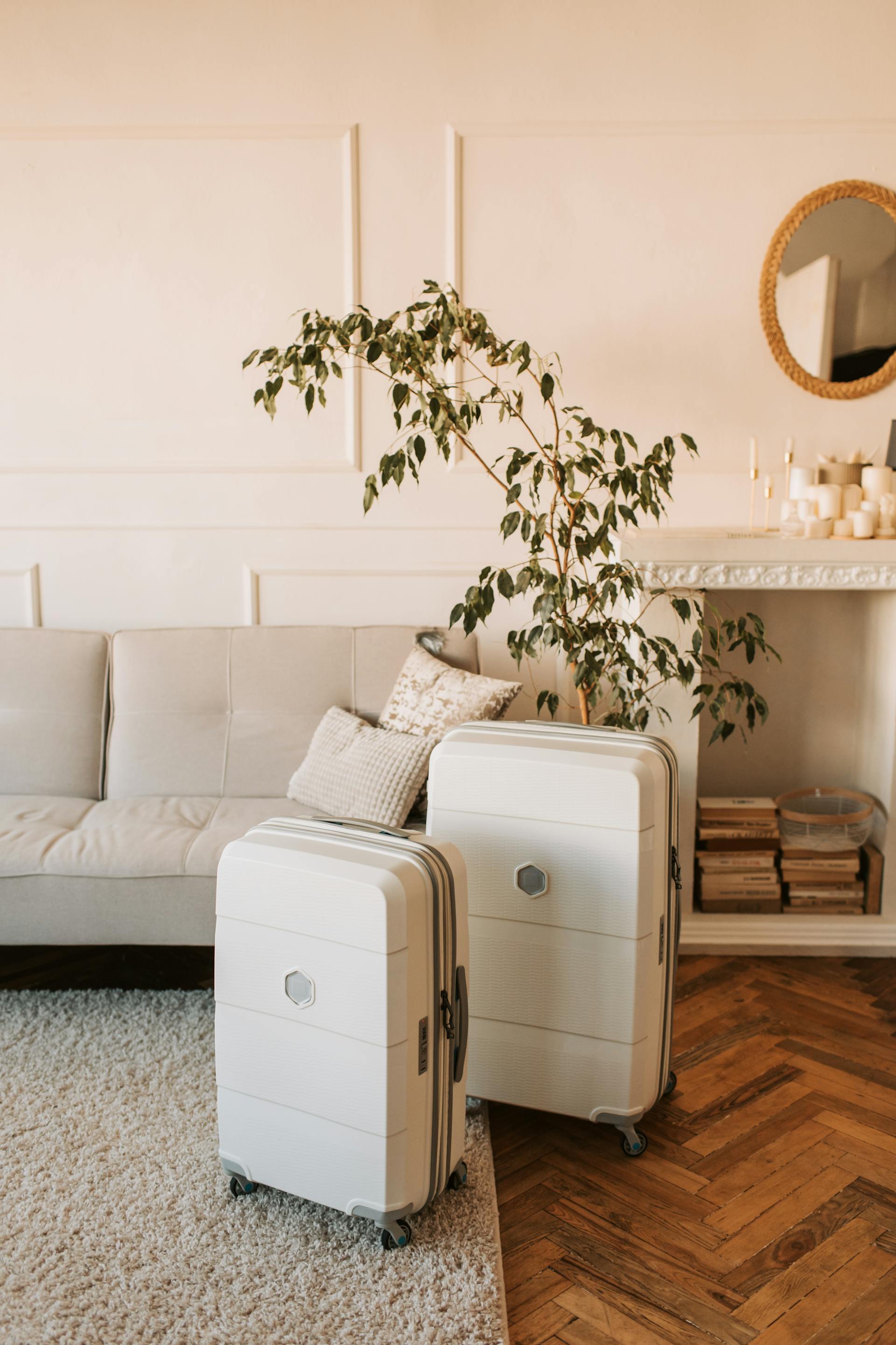 Une photo de deux valises posées dans un salon | Source : Pexels