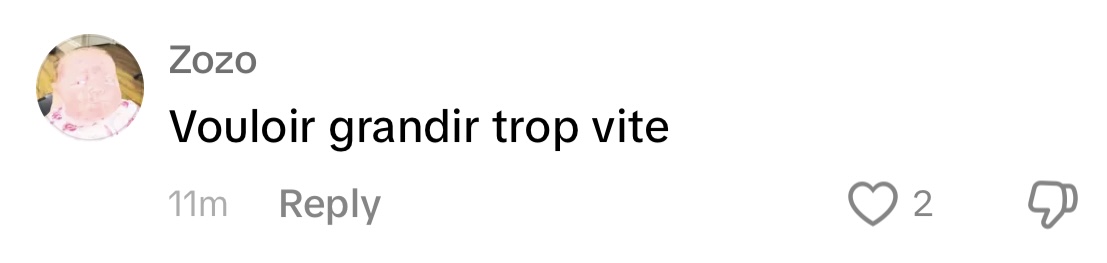 Commentaire d'internaute sur la vidéo de Giulia Sarkozy | Source : TikTok