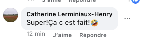Commentaire d'un internaute I Source : https://www.facebook.com/reel/1526468922492342