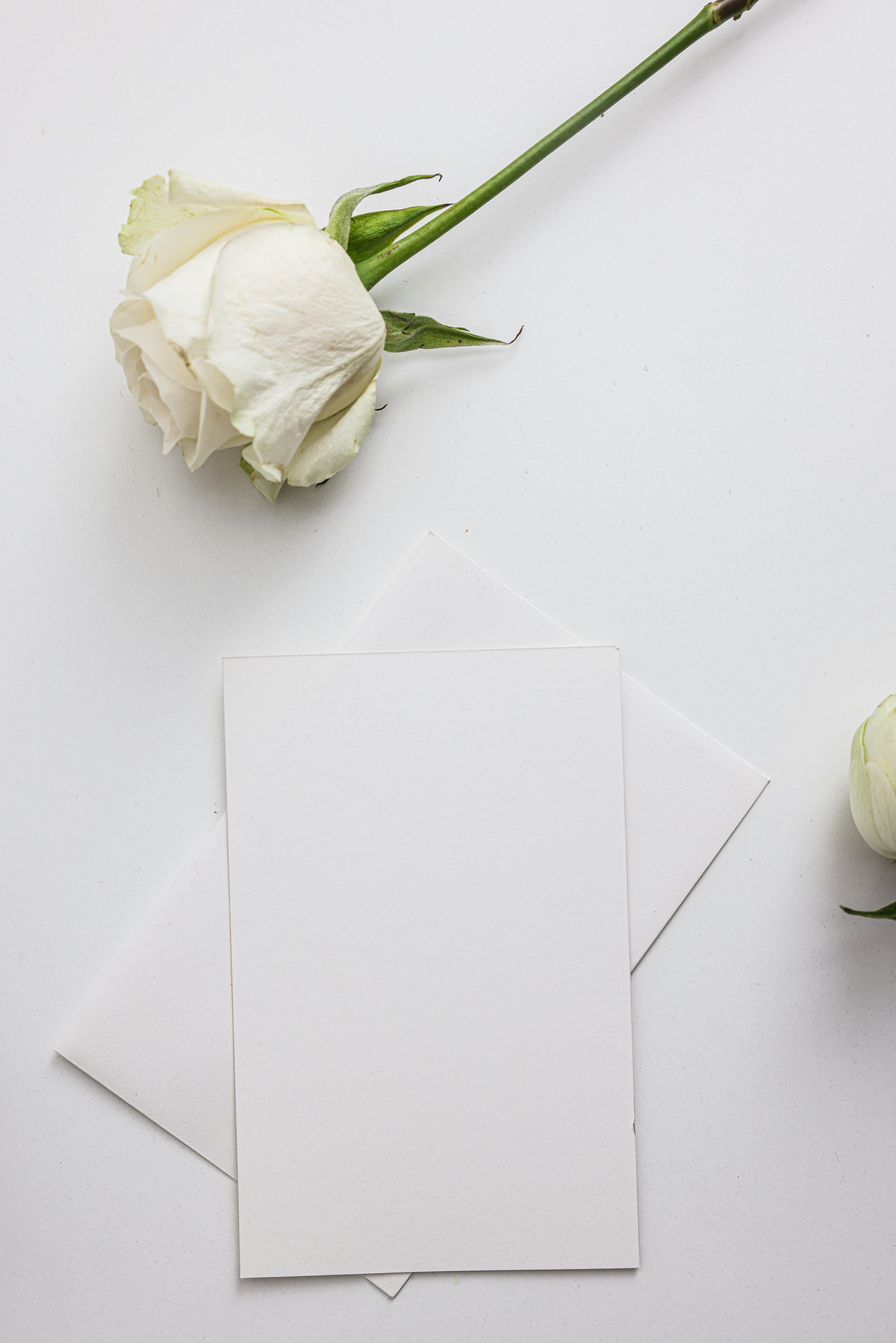 Enveloppes blanches sur une table | Source : Pexels