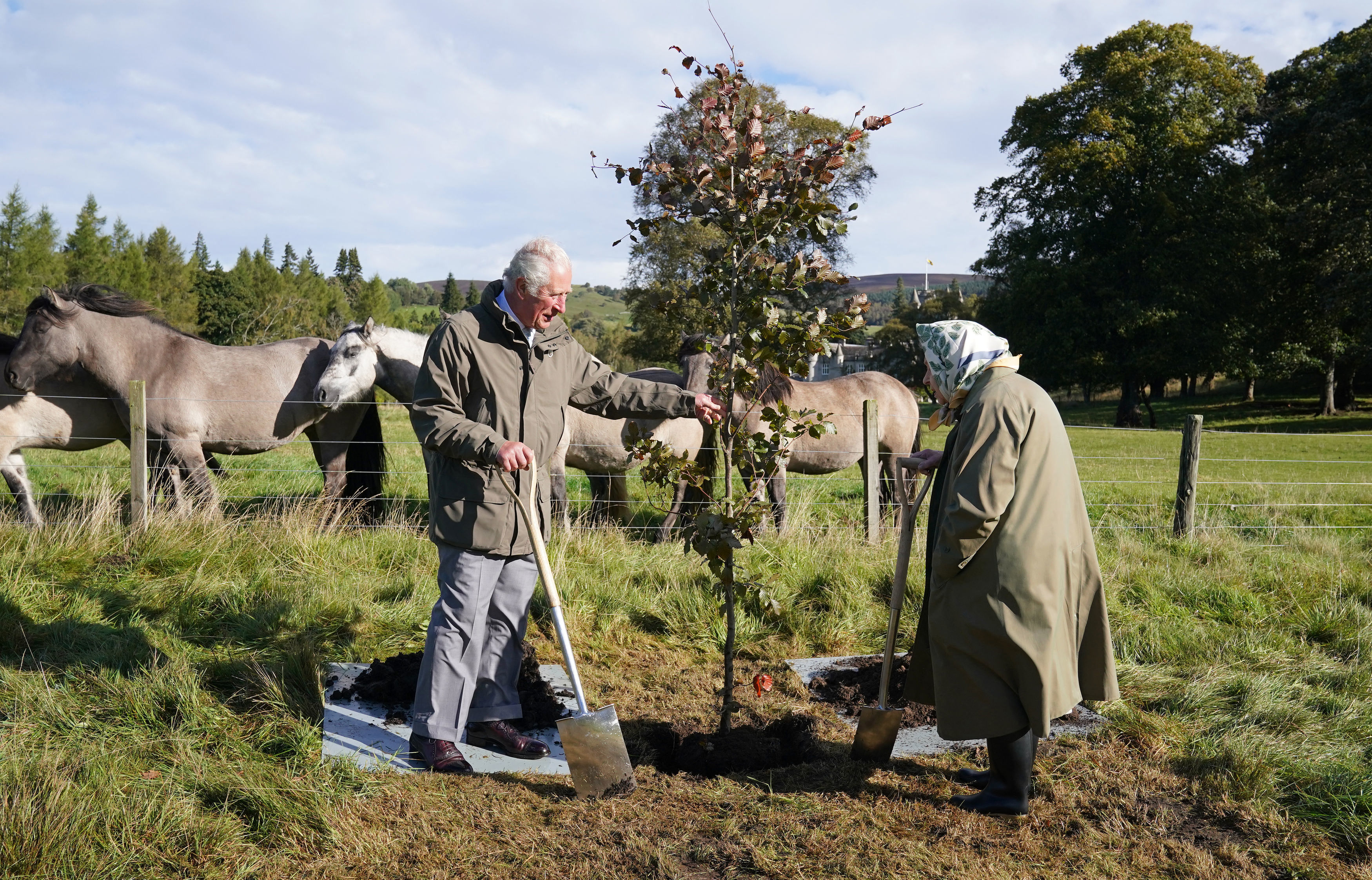 La reine Élisabeth II et le prince Charles de l'époque plantent un arbre pour marquer le début de la saison officielle de plantation de la canopée verte de la reine au pavillon de cricket de Balmoral, sur le domaine de Balmoral en Écosse, le 1er octobre 2021. | Source : Getty Images