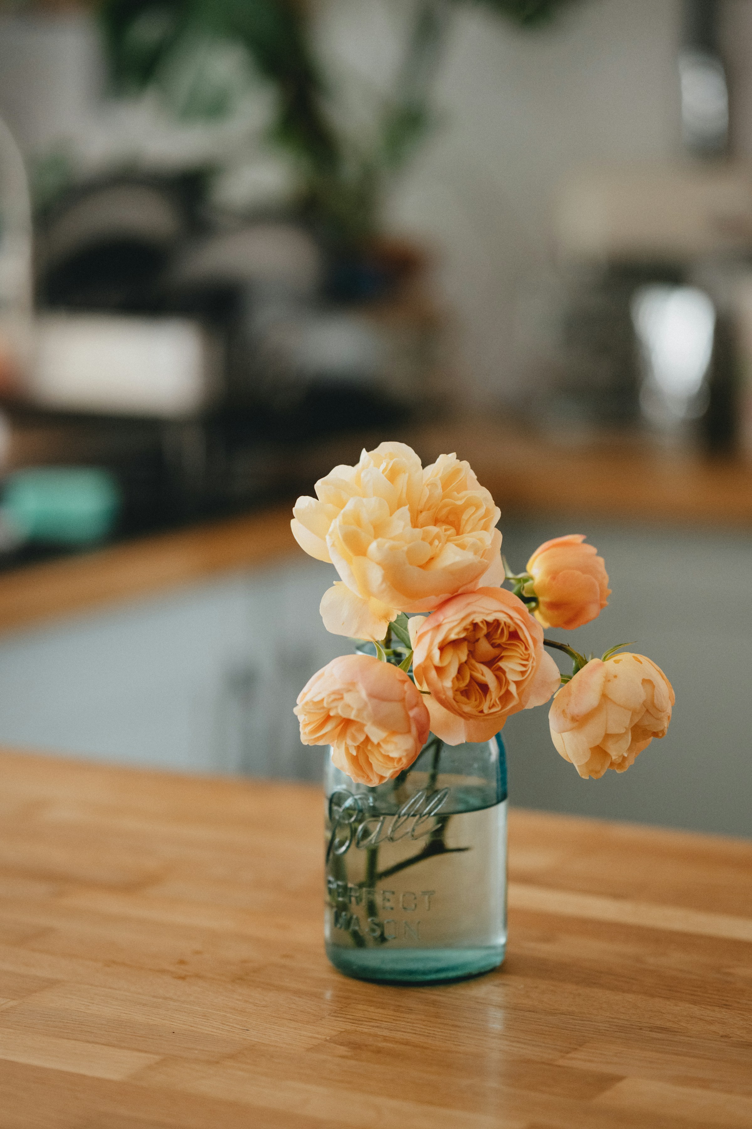 Un vase de fleurs | Source : Unsplash