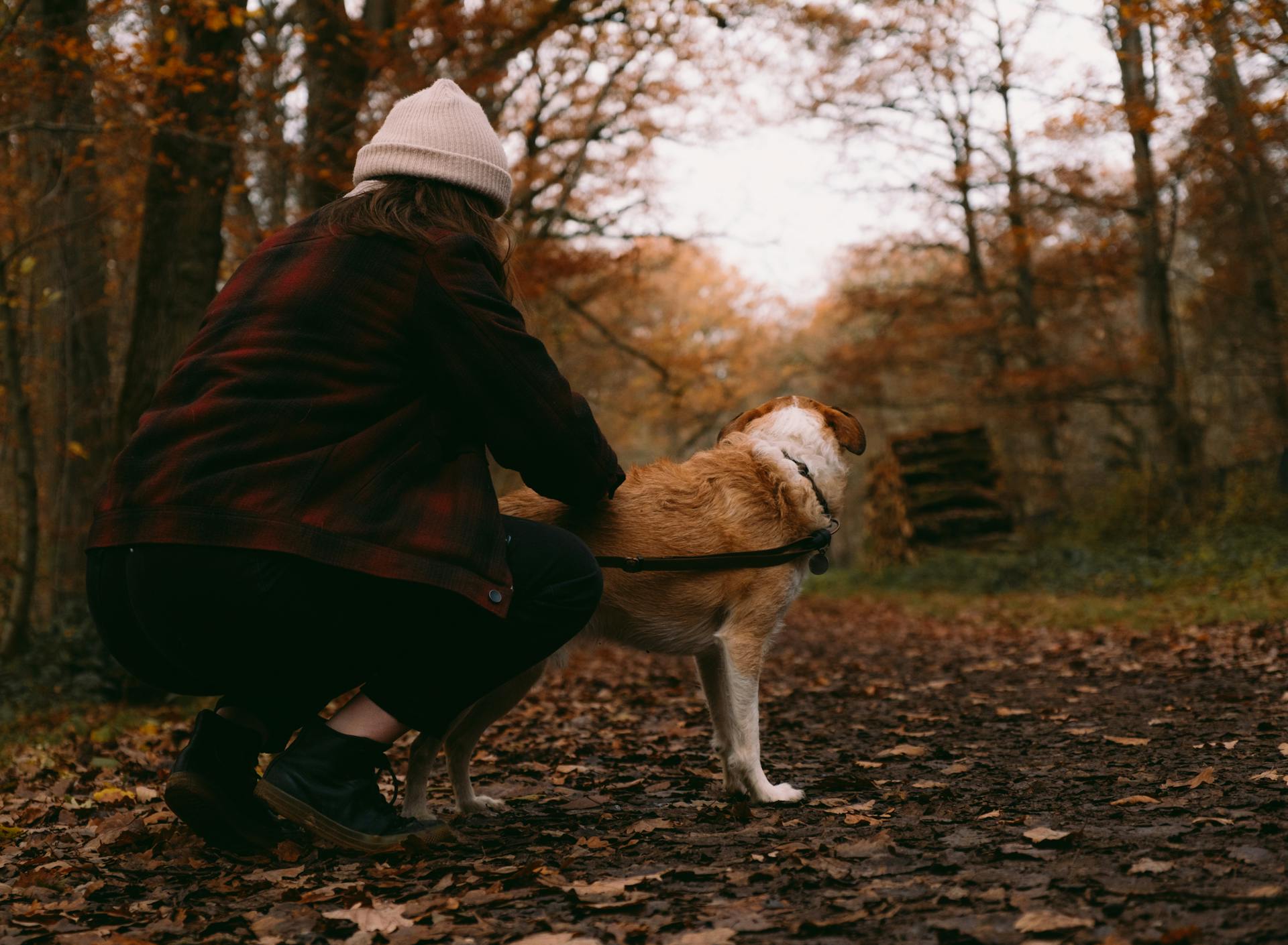 Une femme dans un parc avec son chien | Source : Pexels