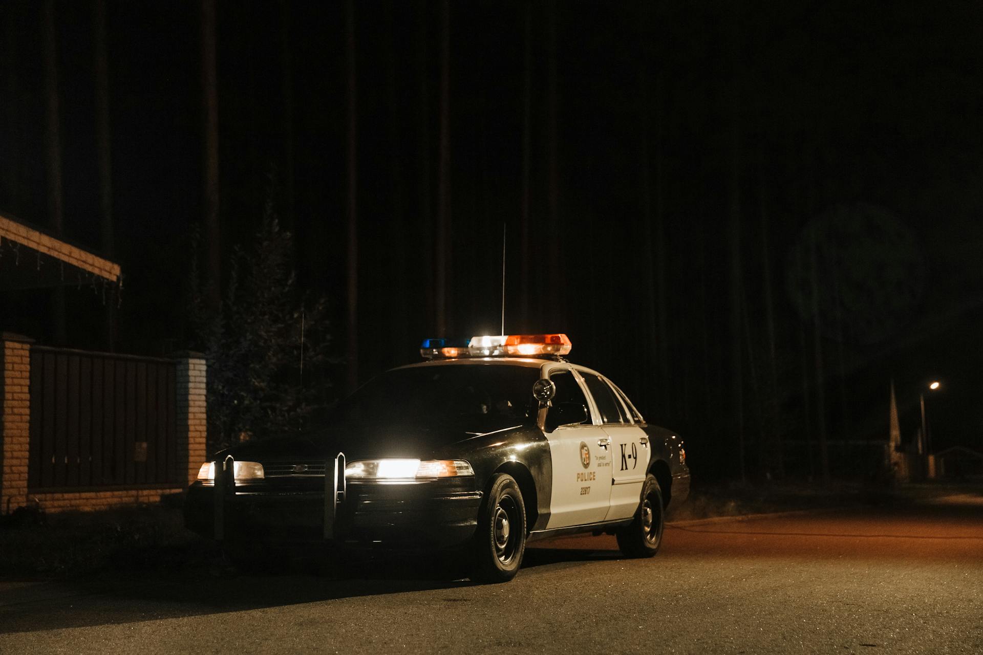 Une voiture de police la nuit | Source : Pexels